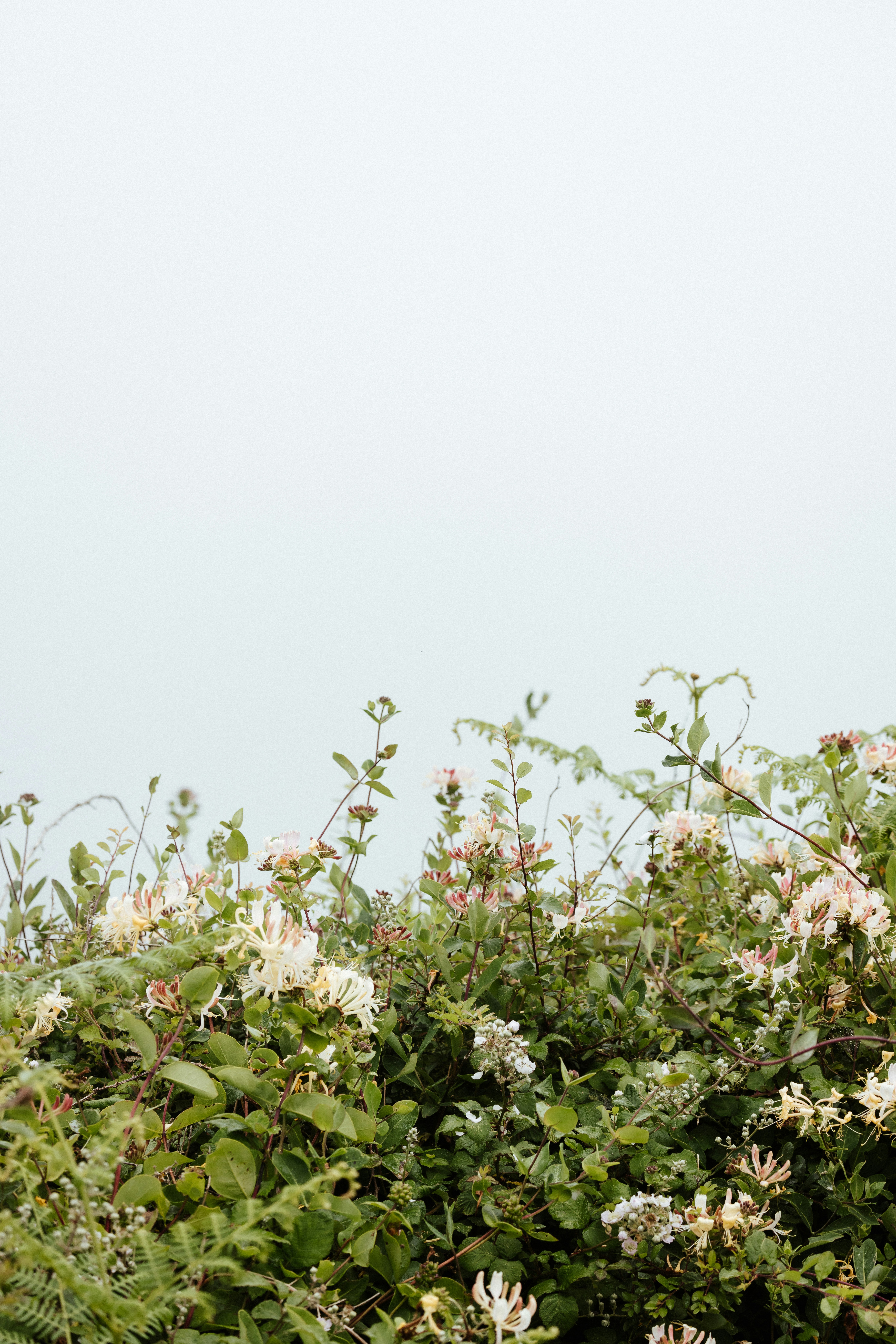 Photo by anniespratt