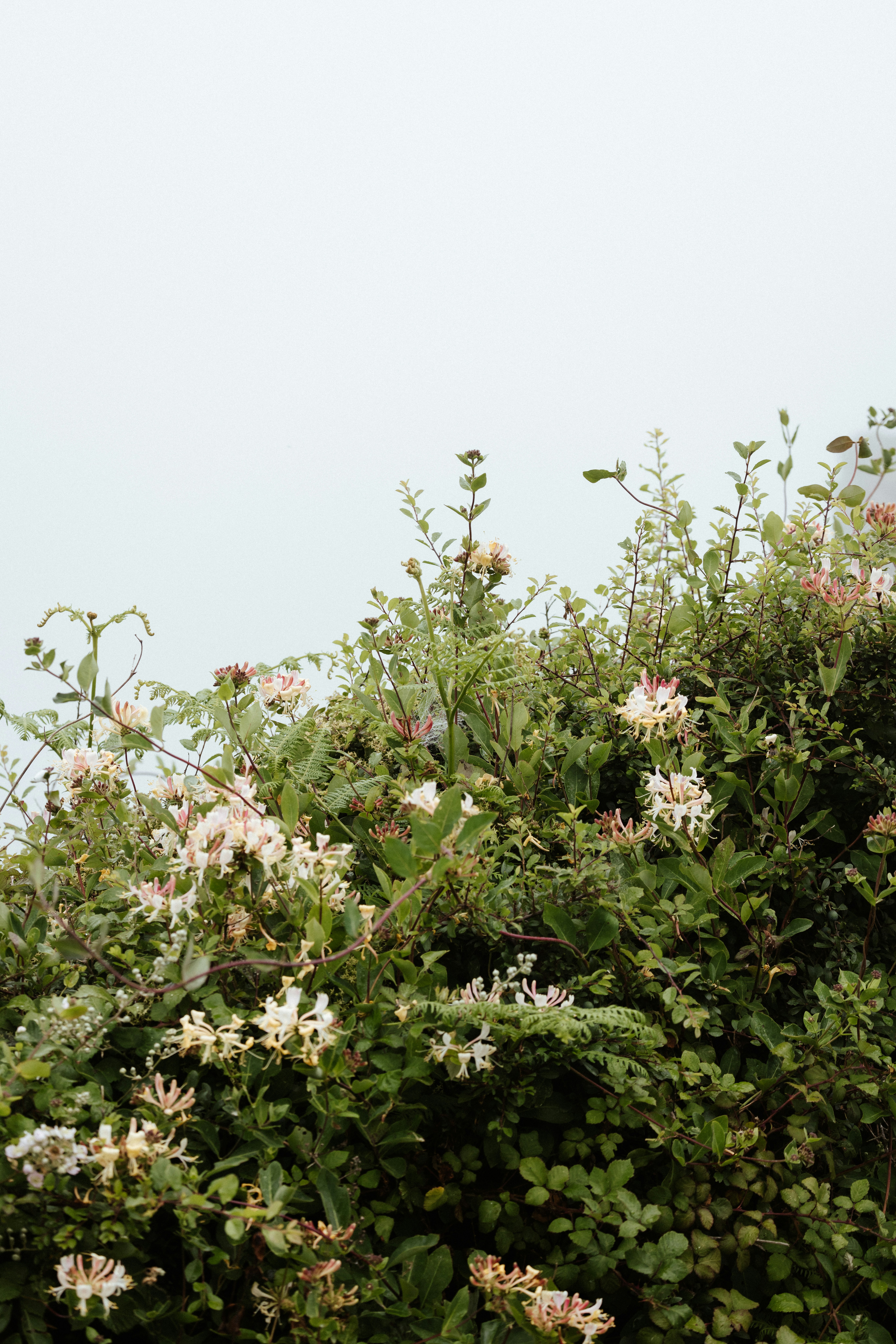 Photo by anniespratt