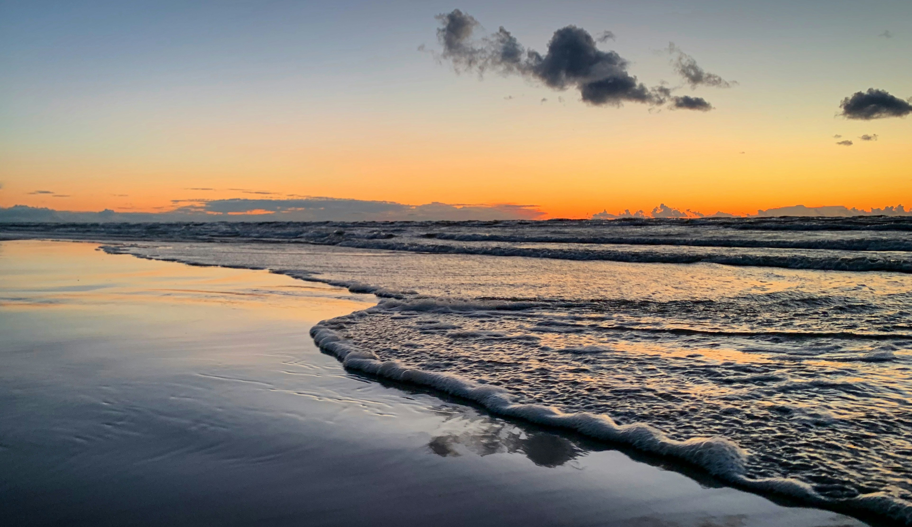 Photo by sergei_gussev