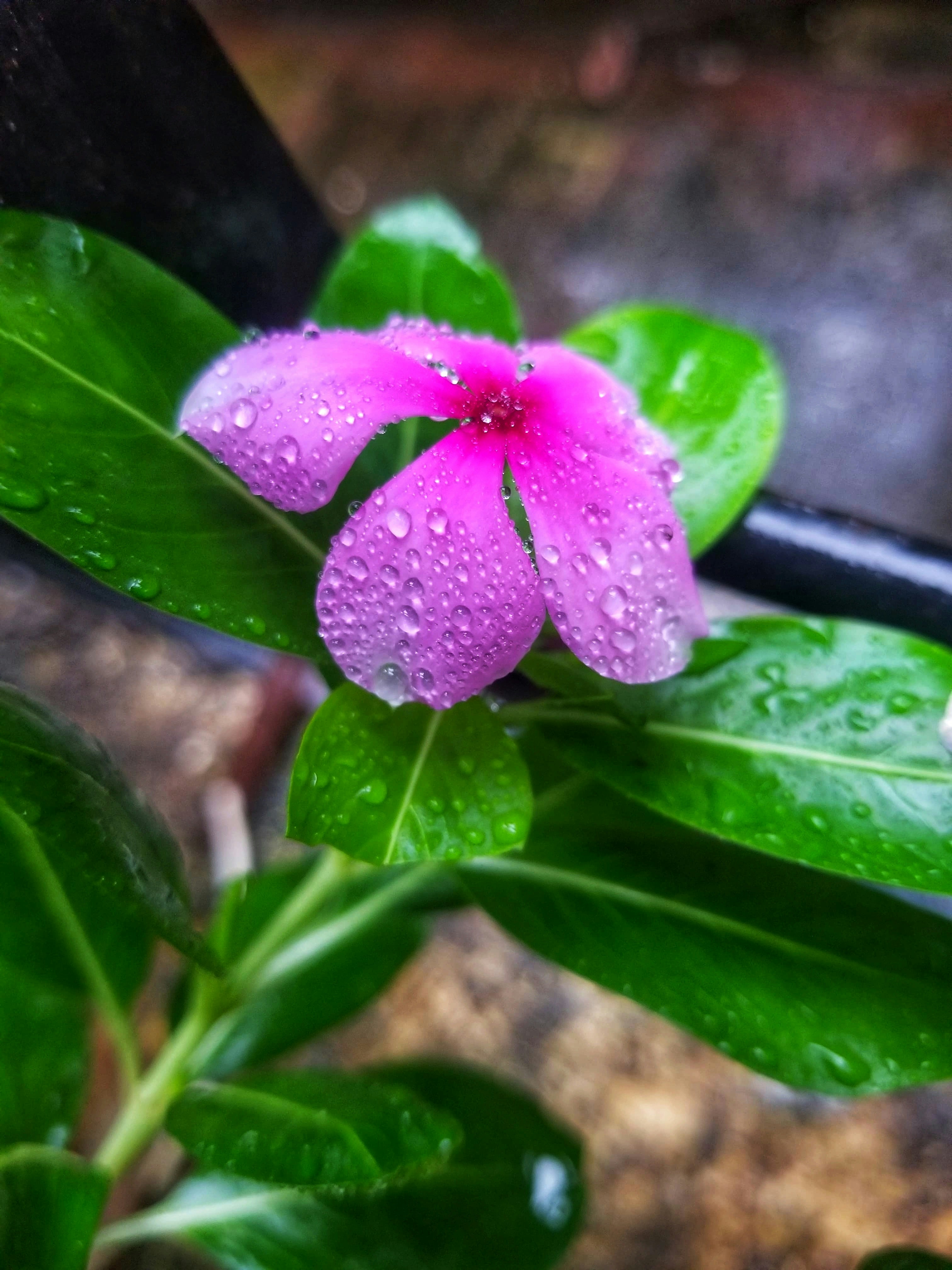 Photo by rishabh_tripathi