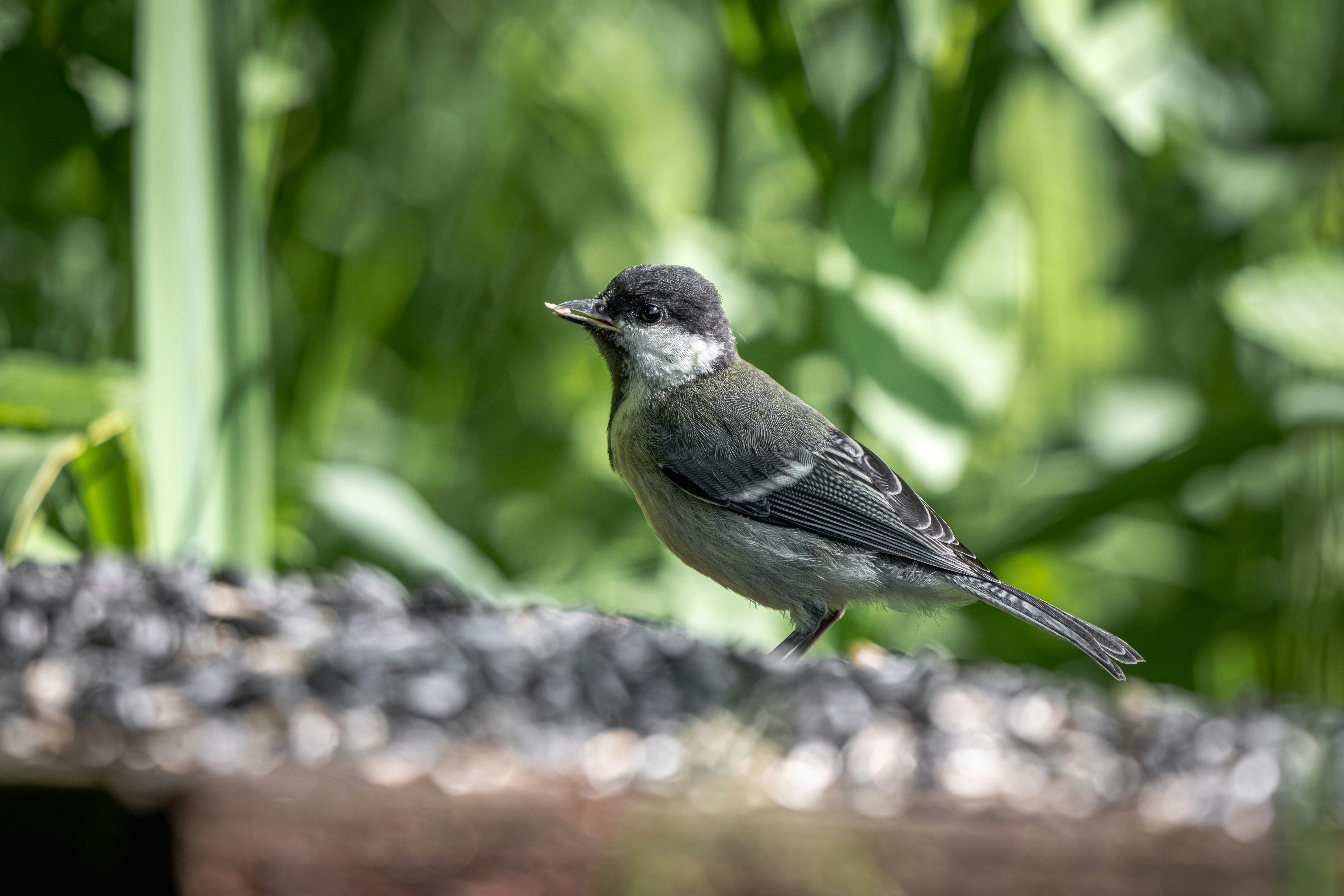 Photo by andreystrizhkov