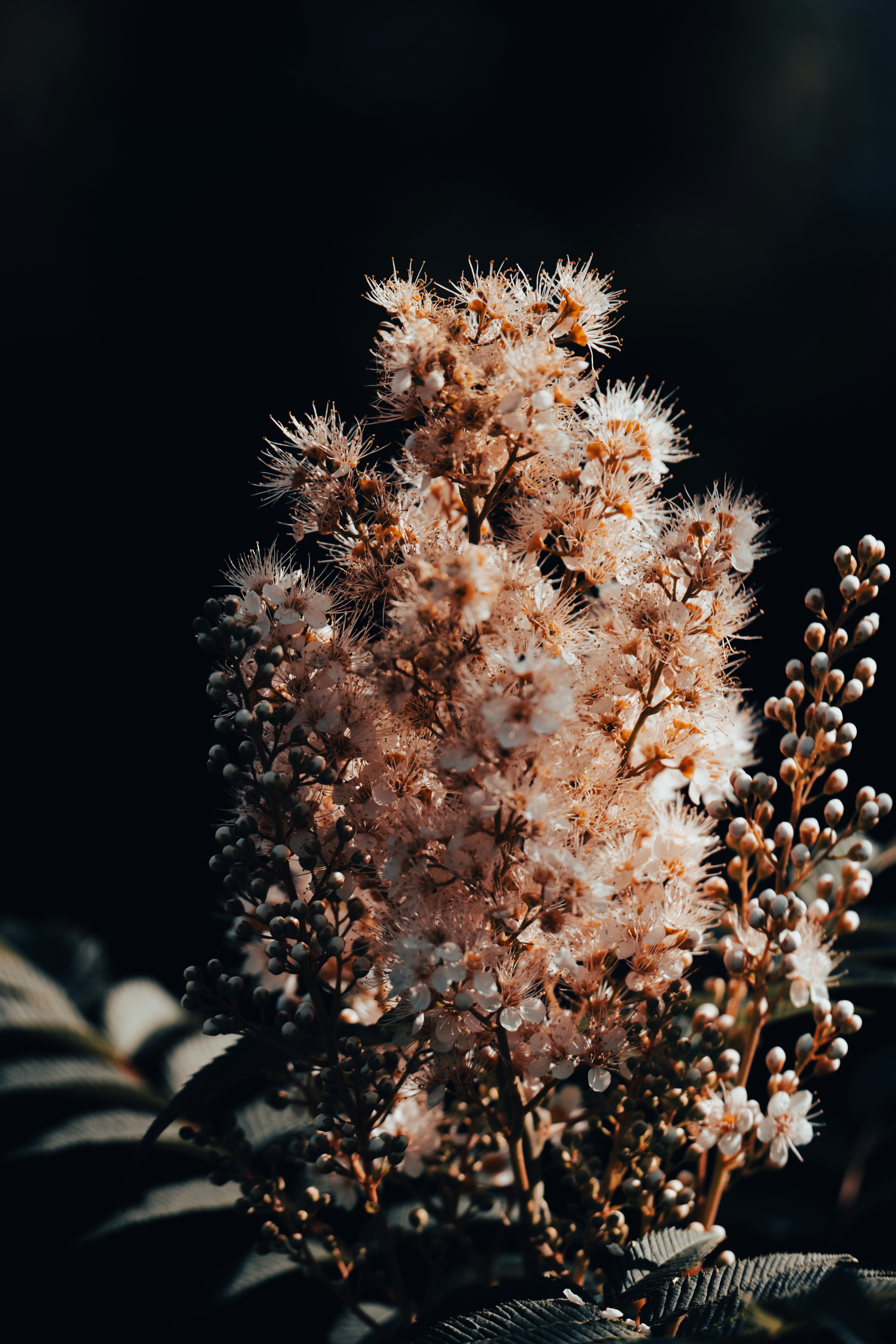 Photo by hellaren