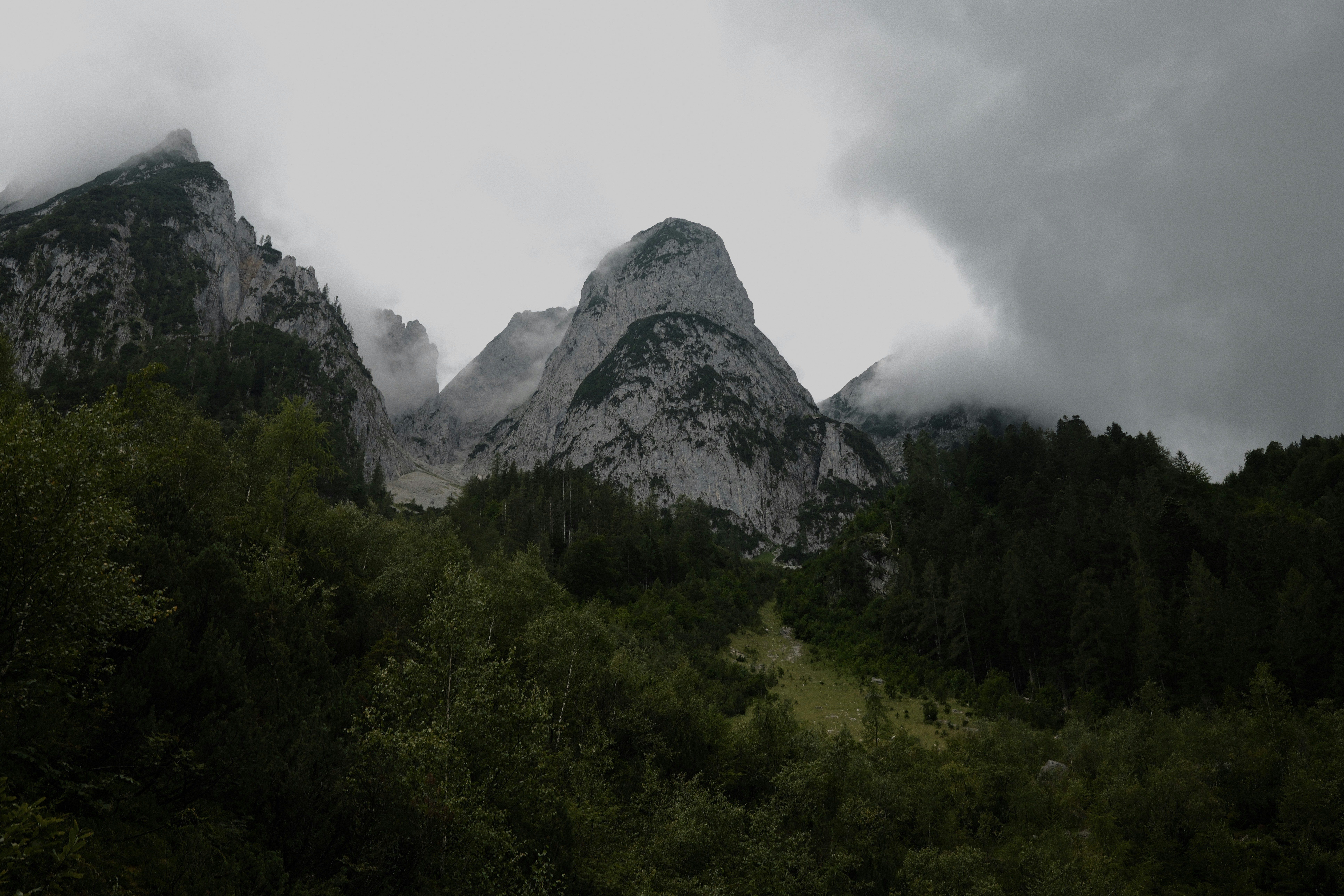 A mountain range with trees and clouds in the background
