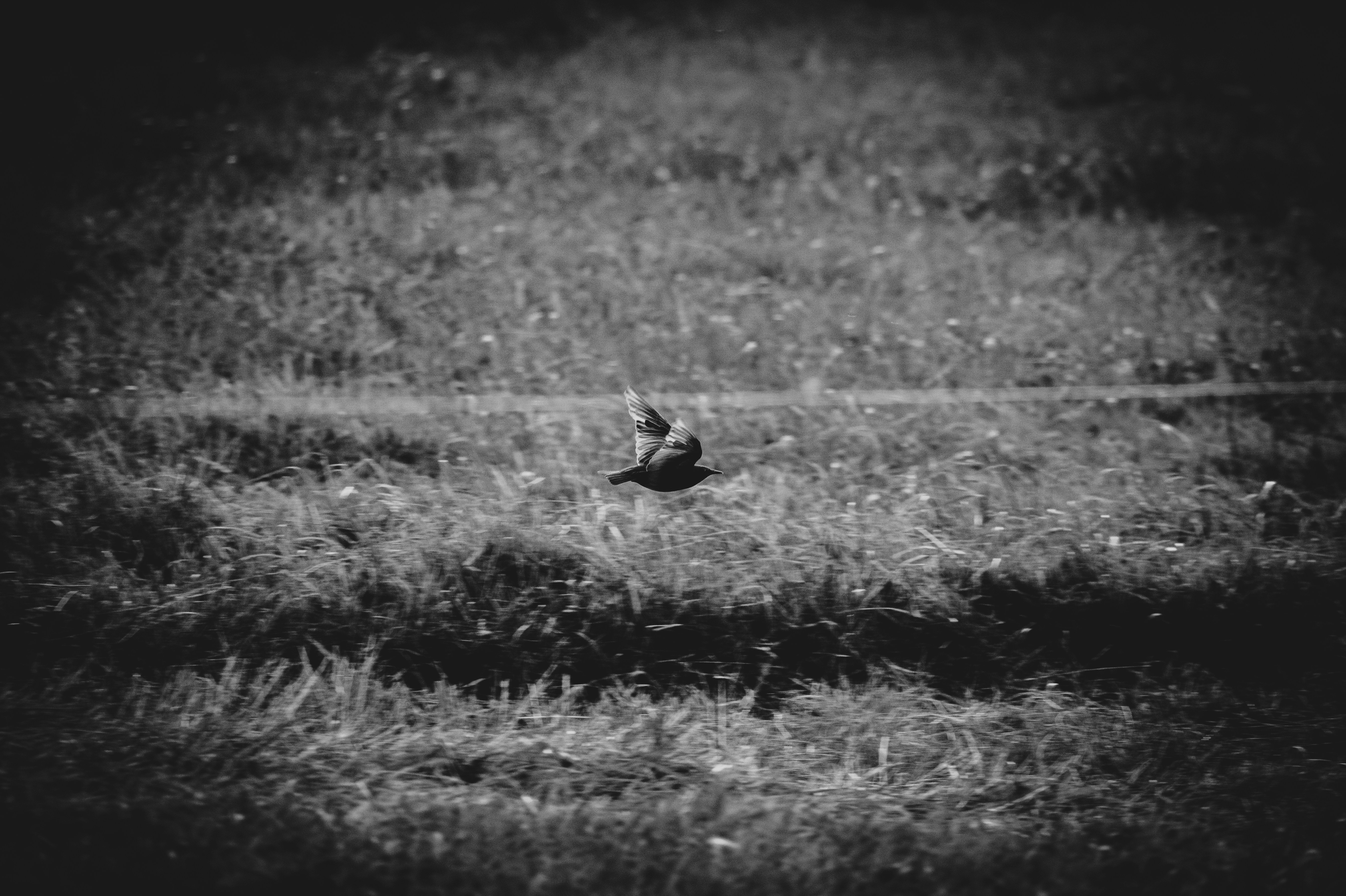 Photo by andreystrizhkov