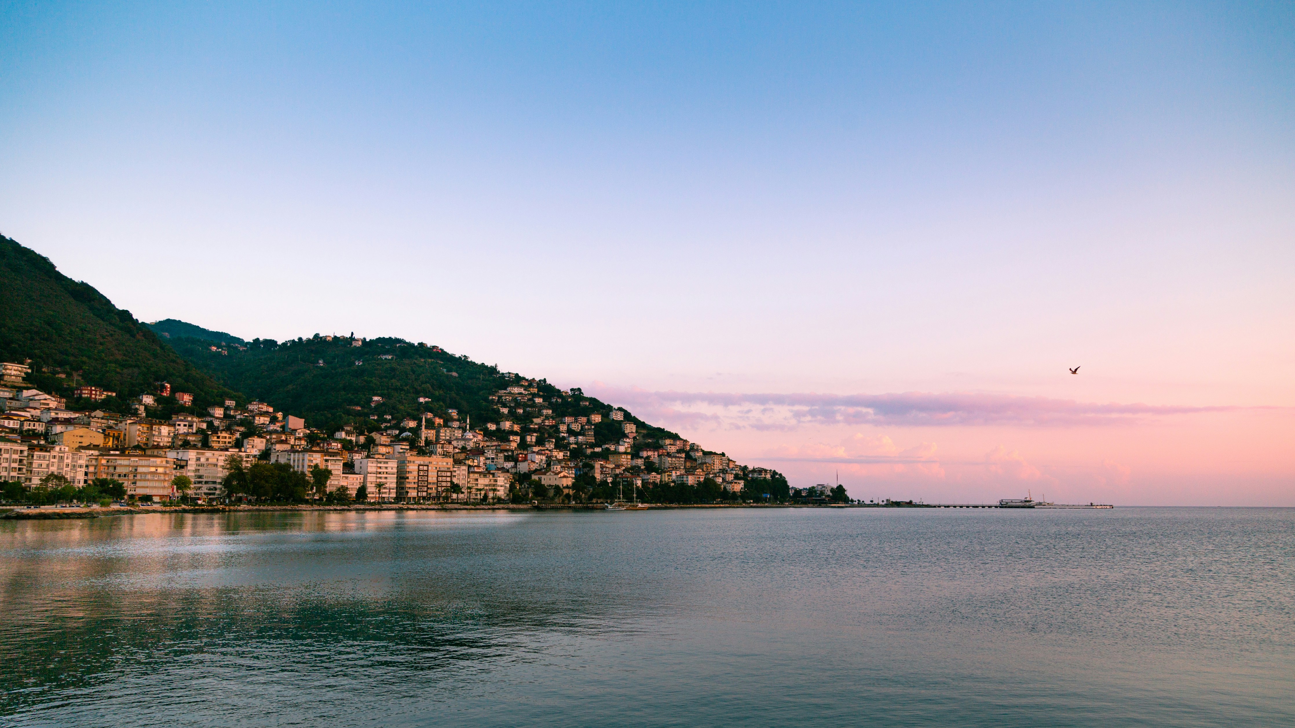 Photo by alisedighmoghadam