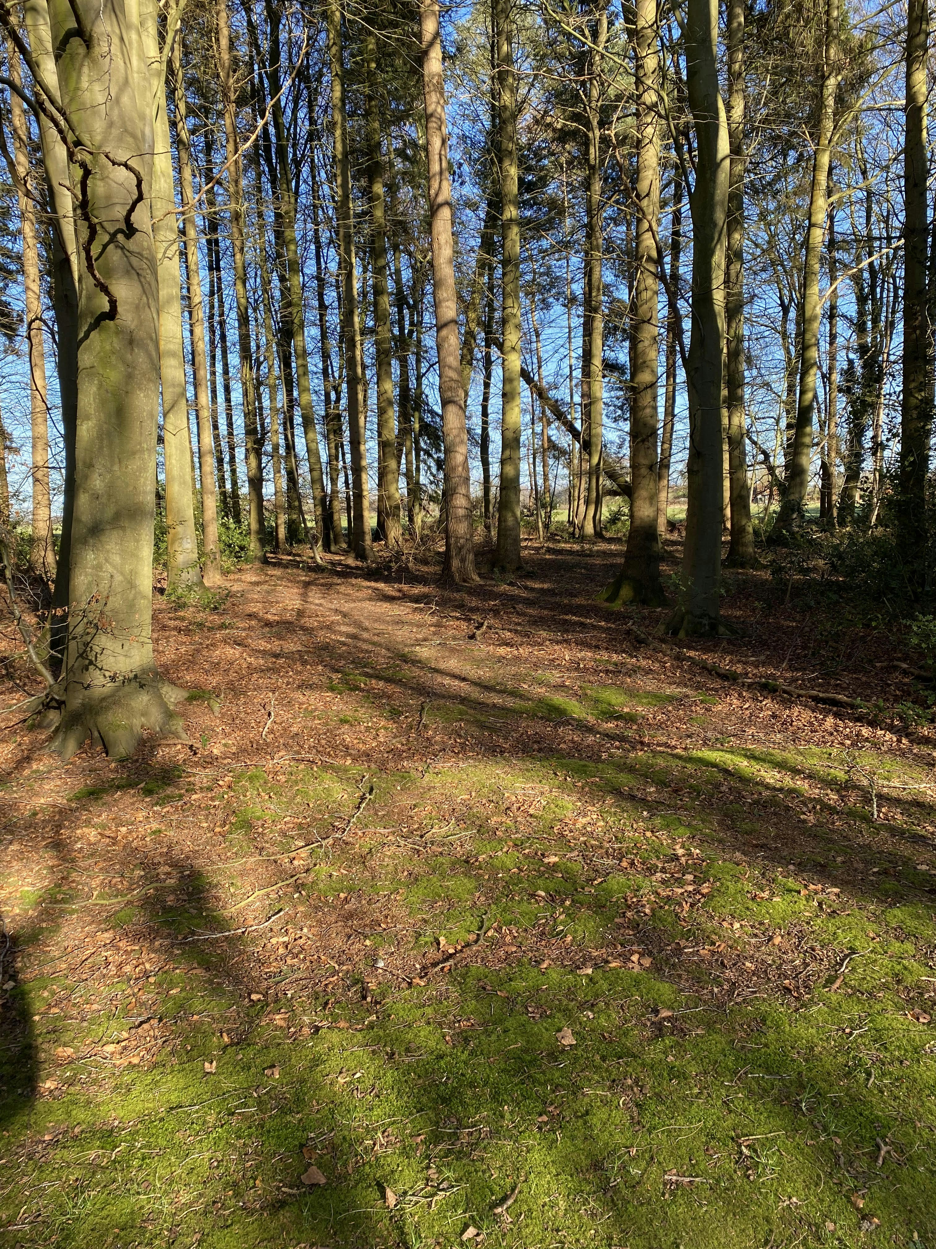 Photo by dplibrarian