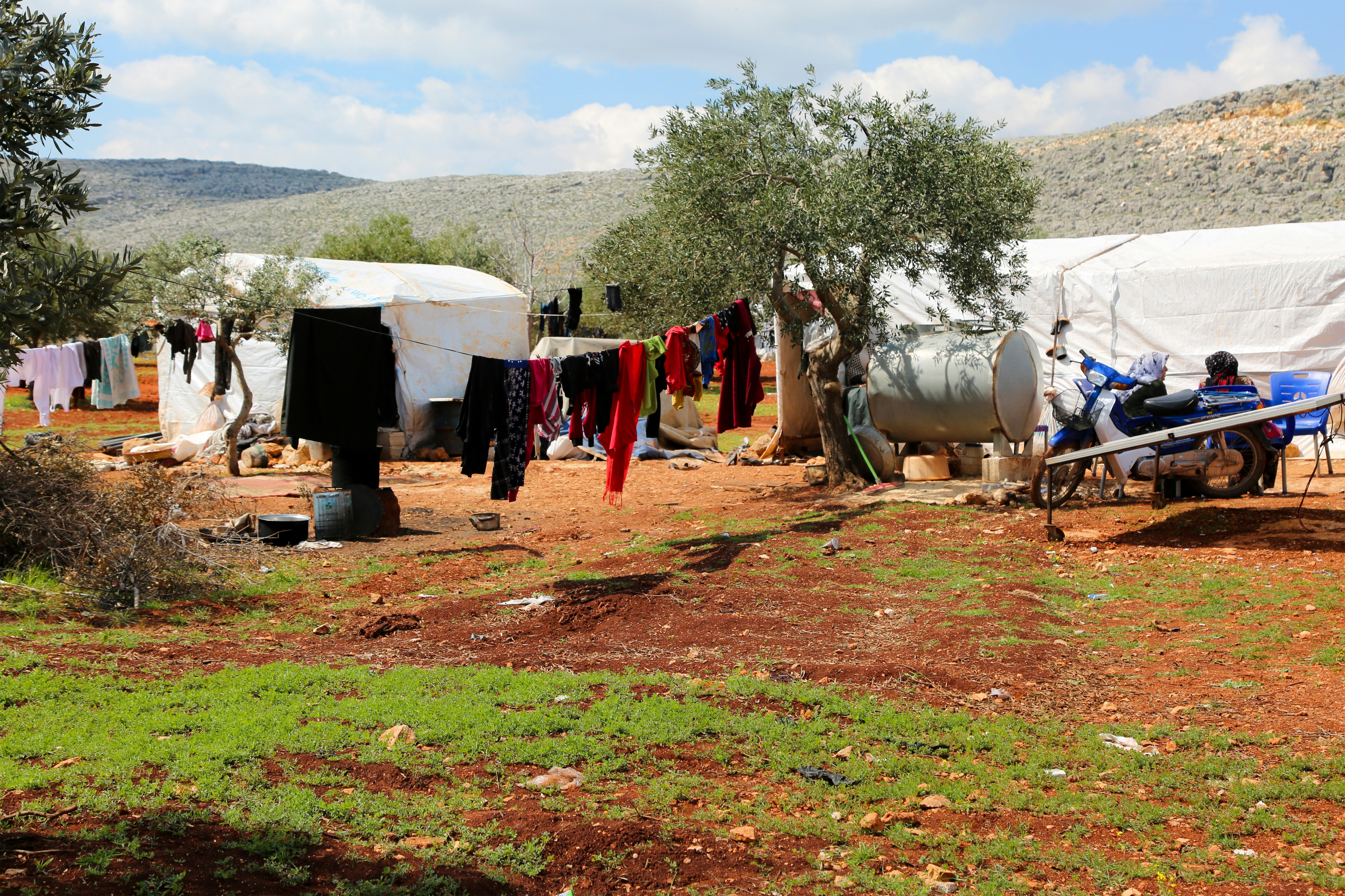 Syria 12-Day Grand Loop Itinerary Homs Hama Complete Guide 2026