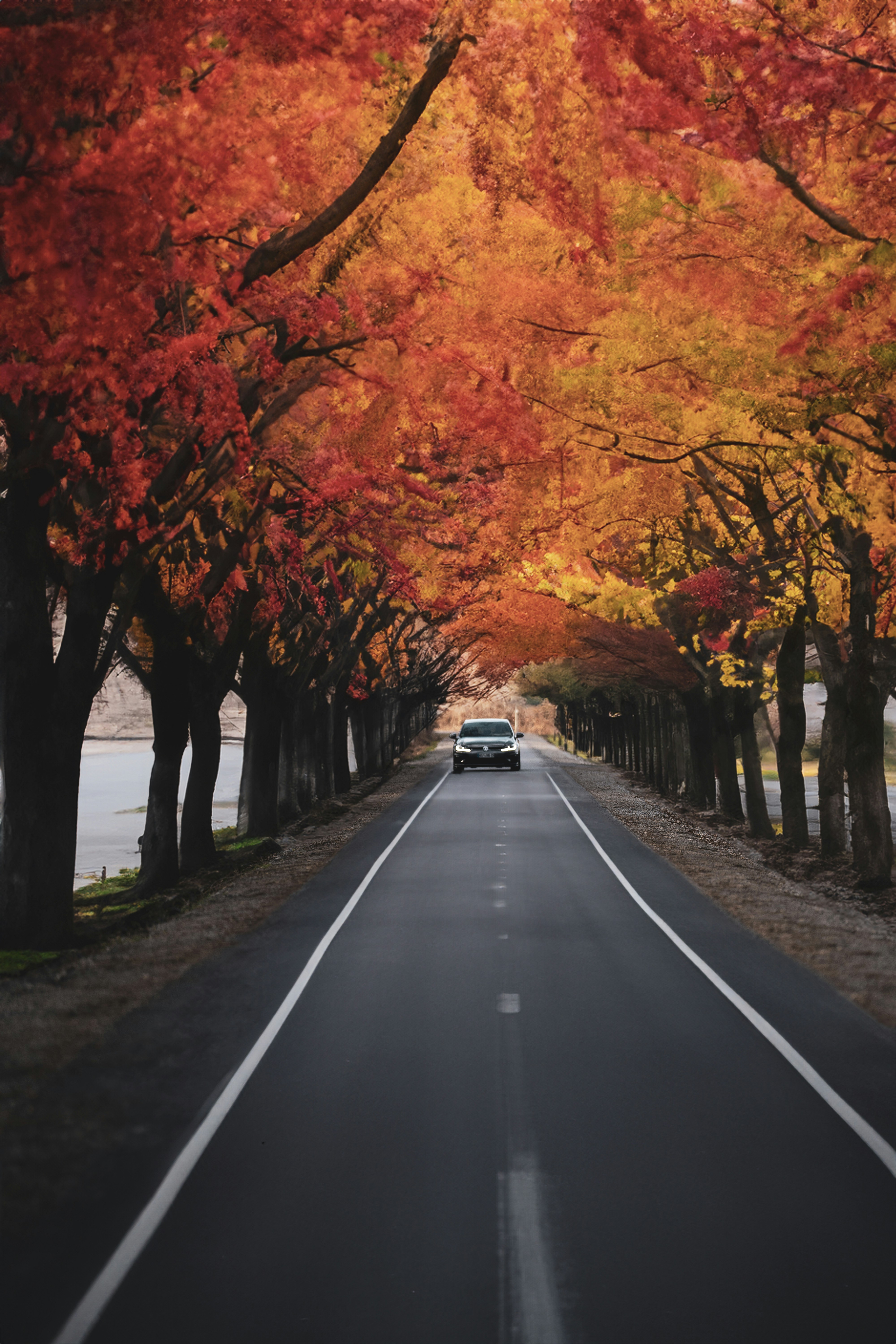 Photo by omarvellous14