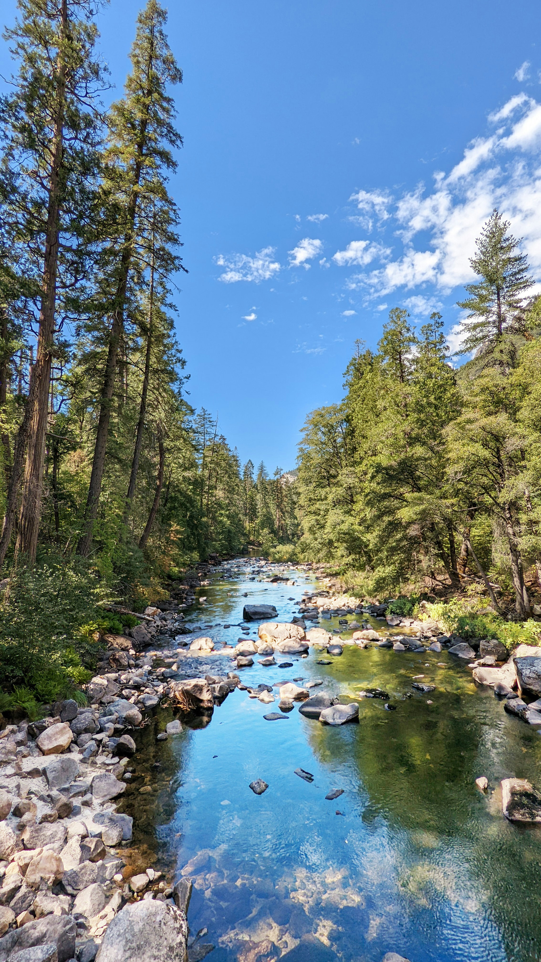 Yosemite National Park travel photo