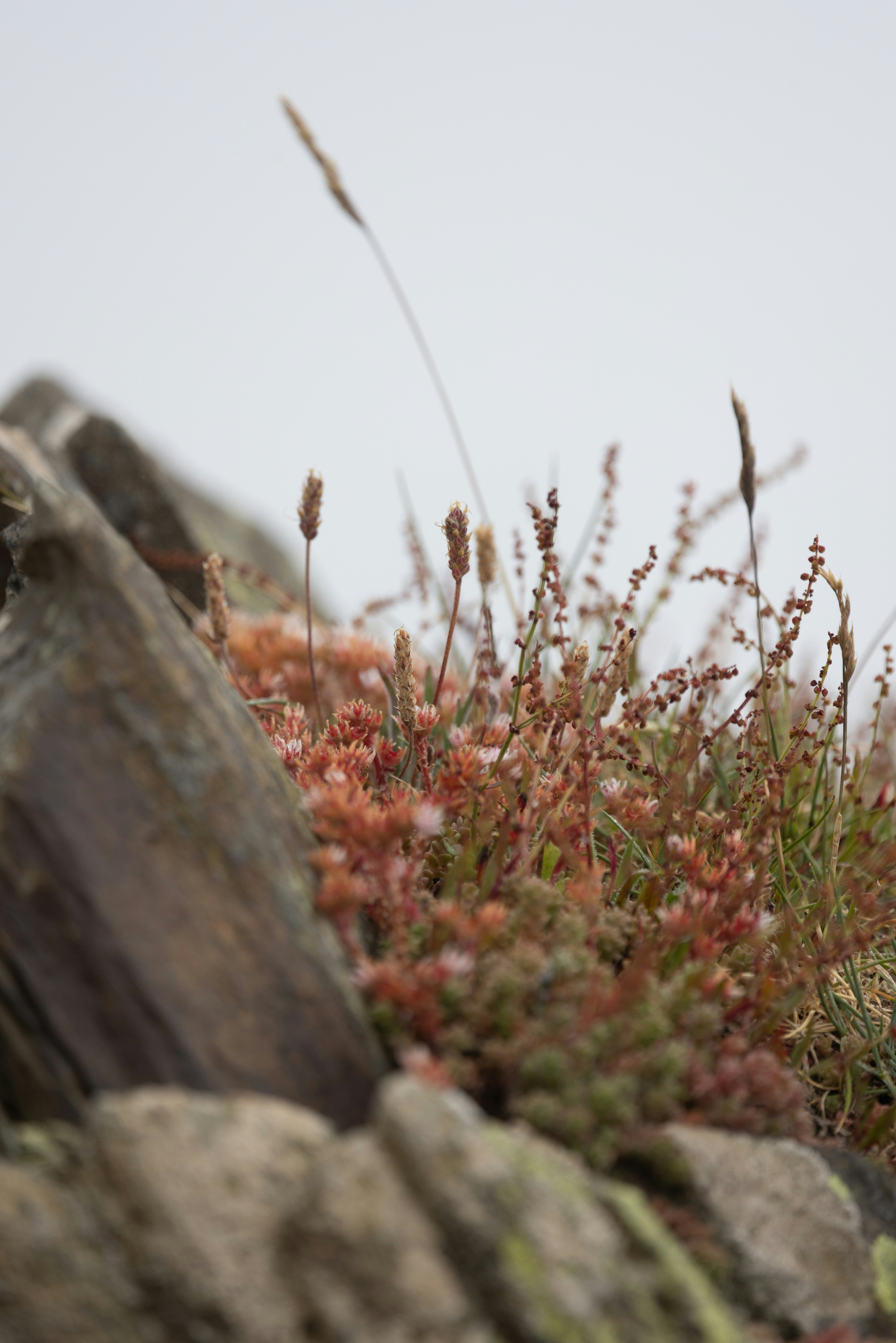 Photo by anniespratt