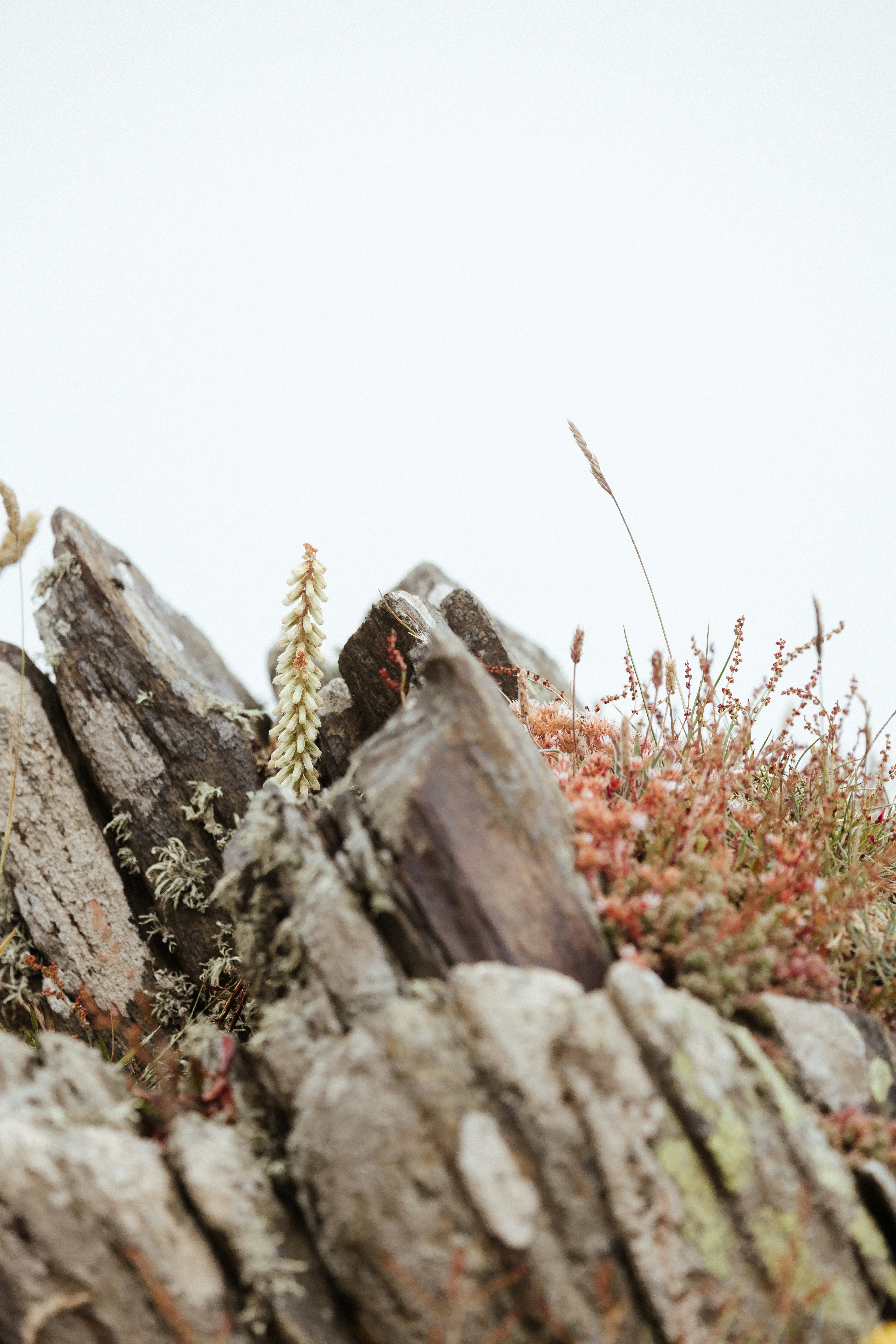 Photo by anniespratt