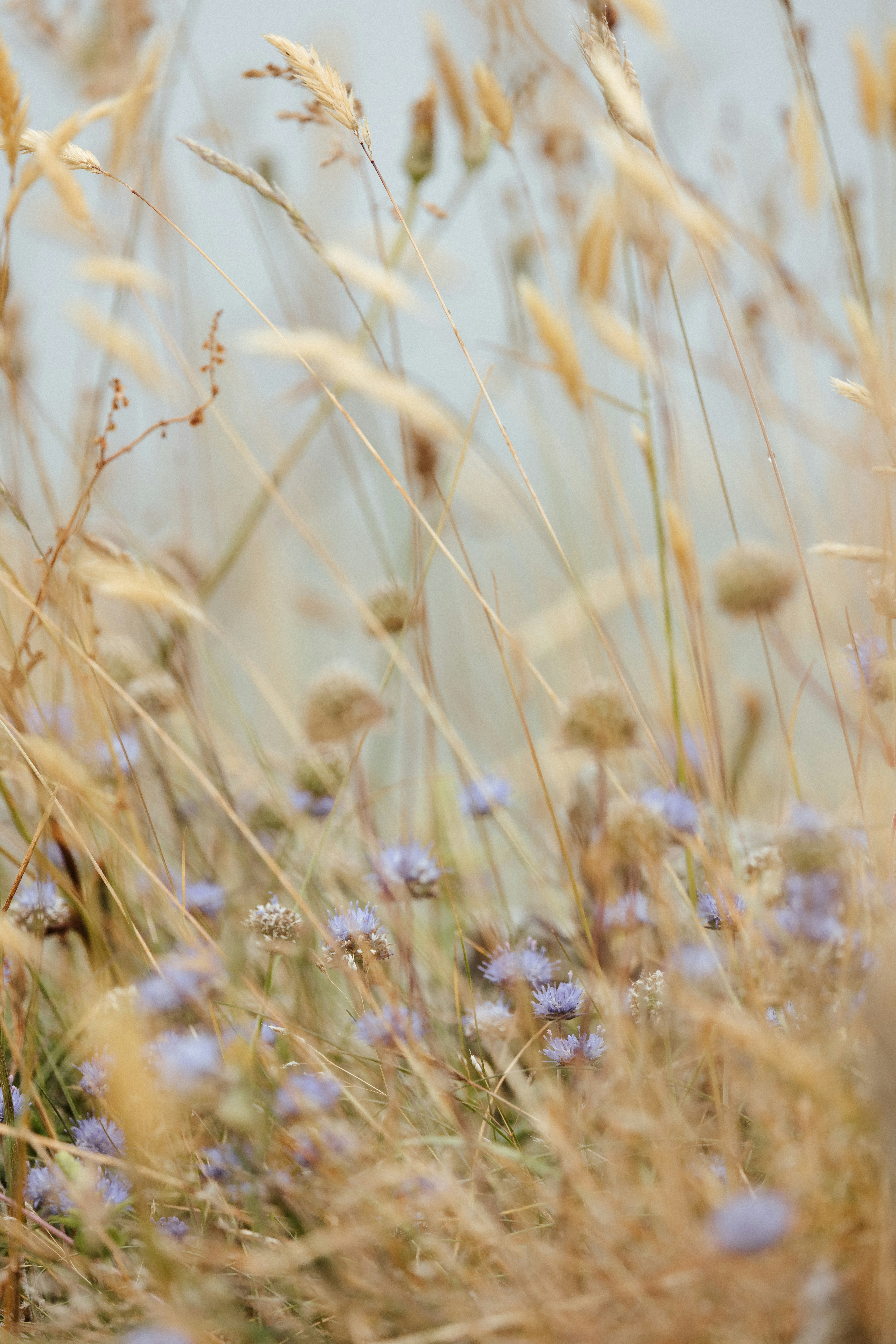 Photo by anniespratt