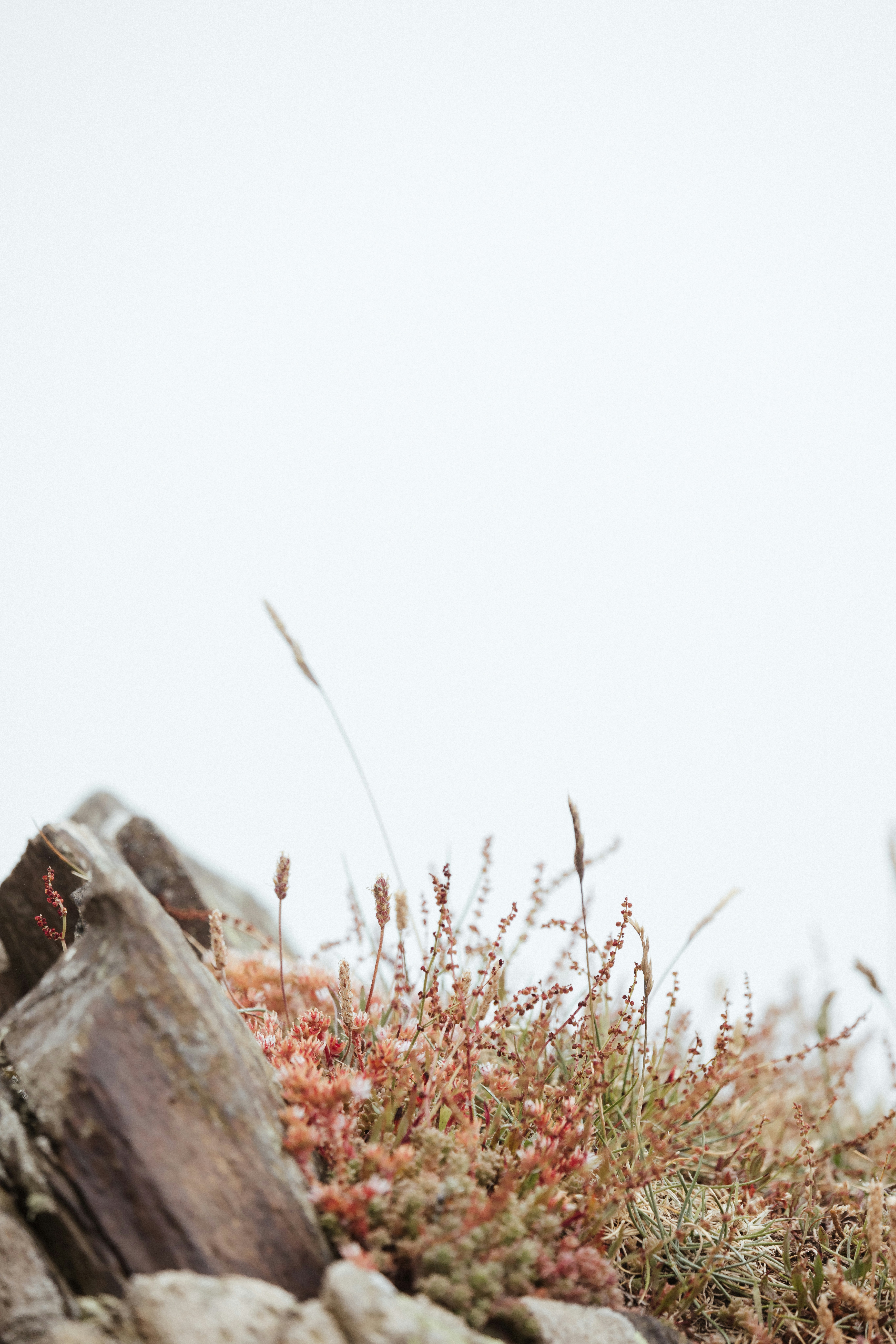 Photo by anniespratt