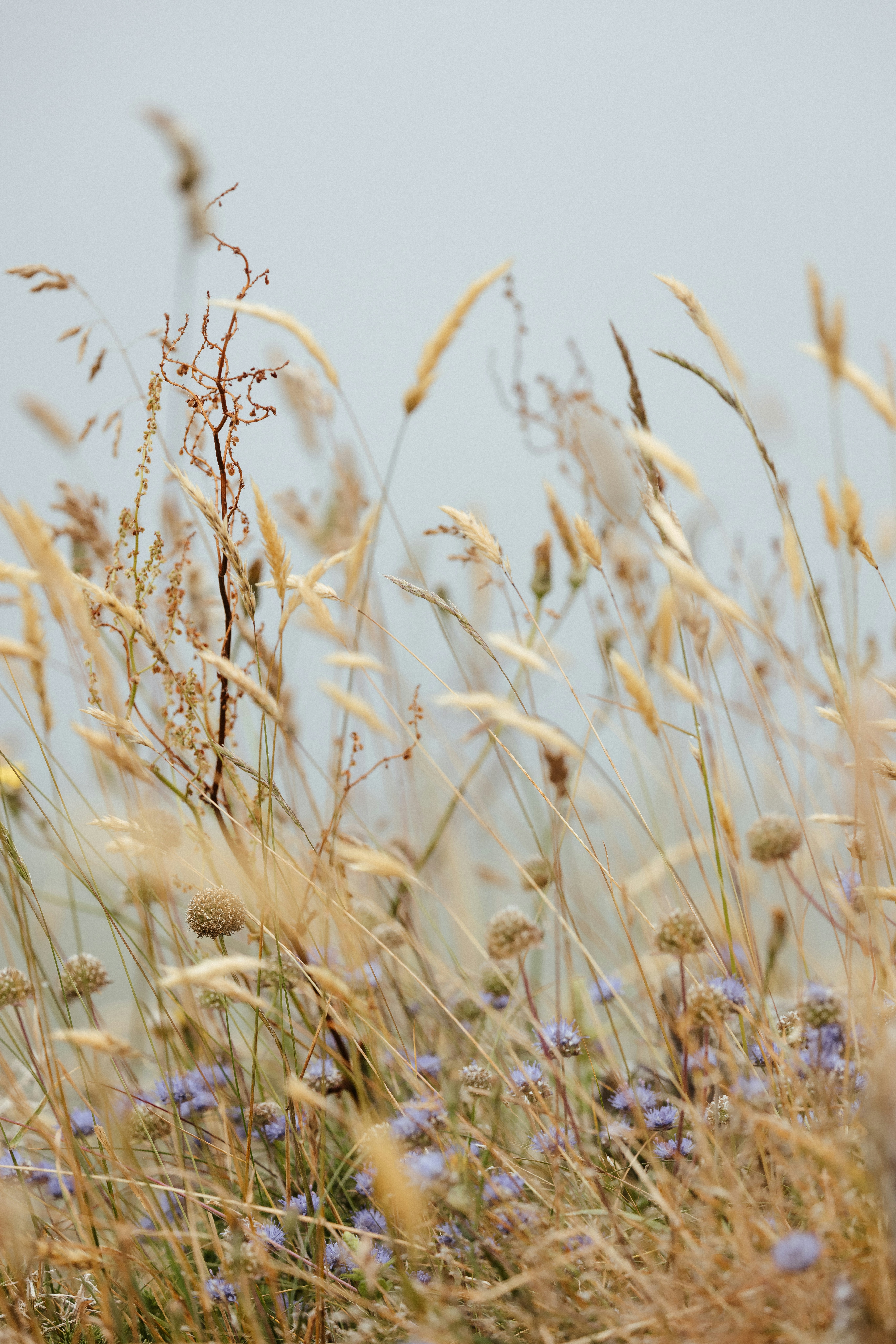 Photo by anniespratt