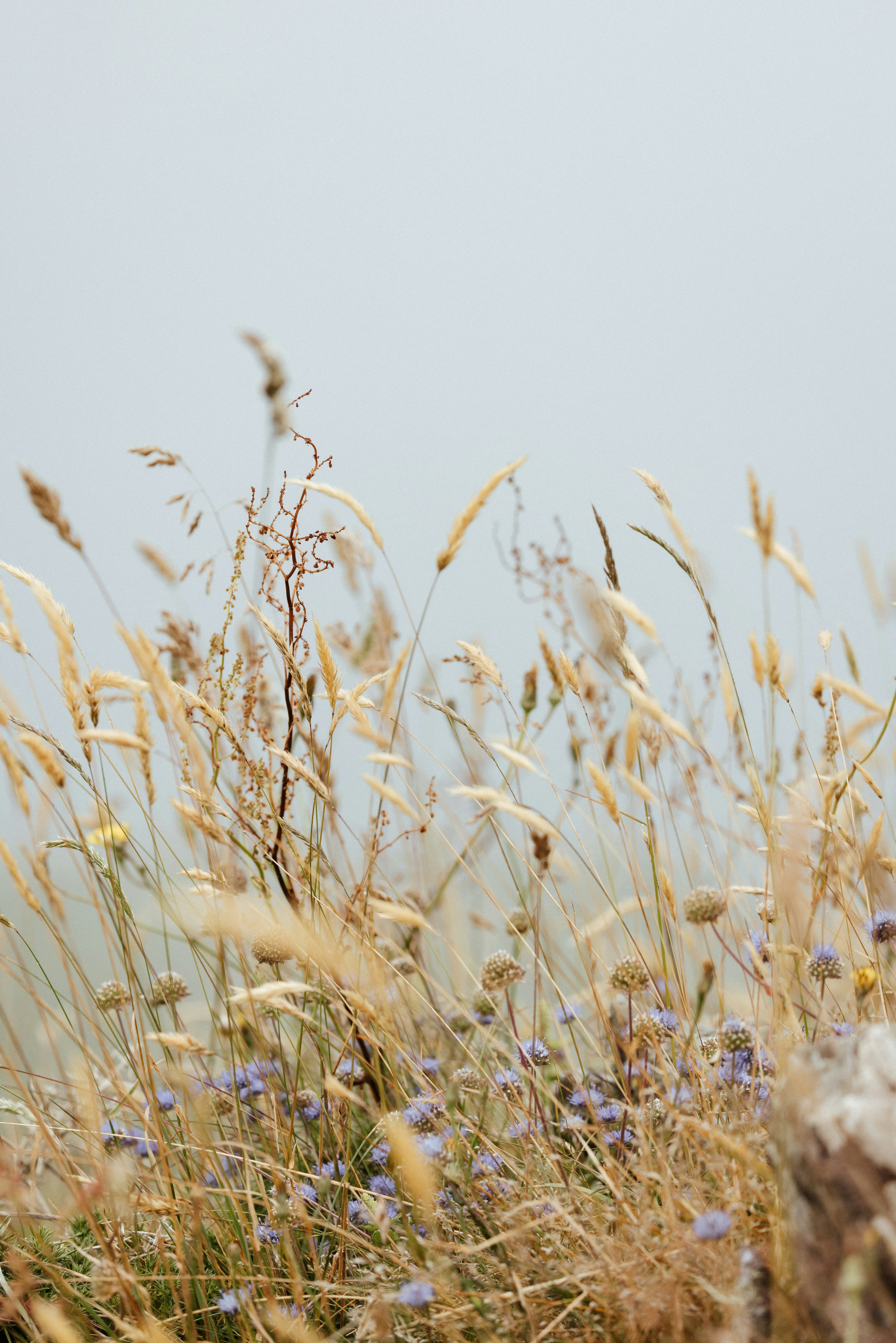 Photo by anniespratt