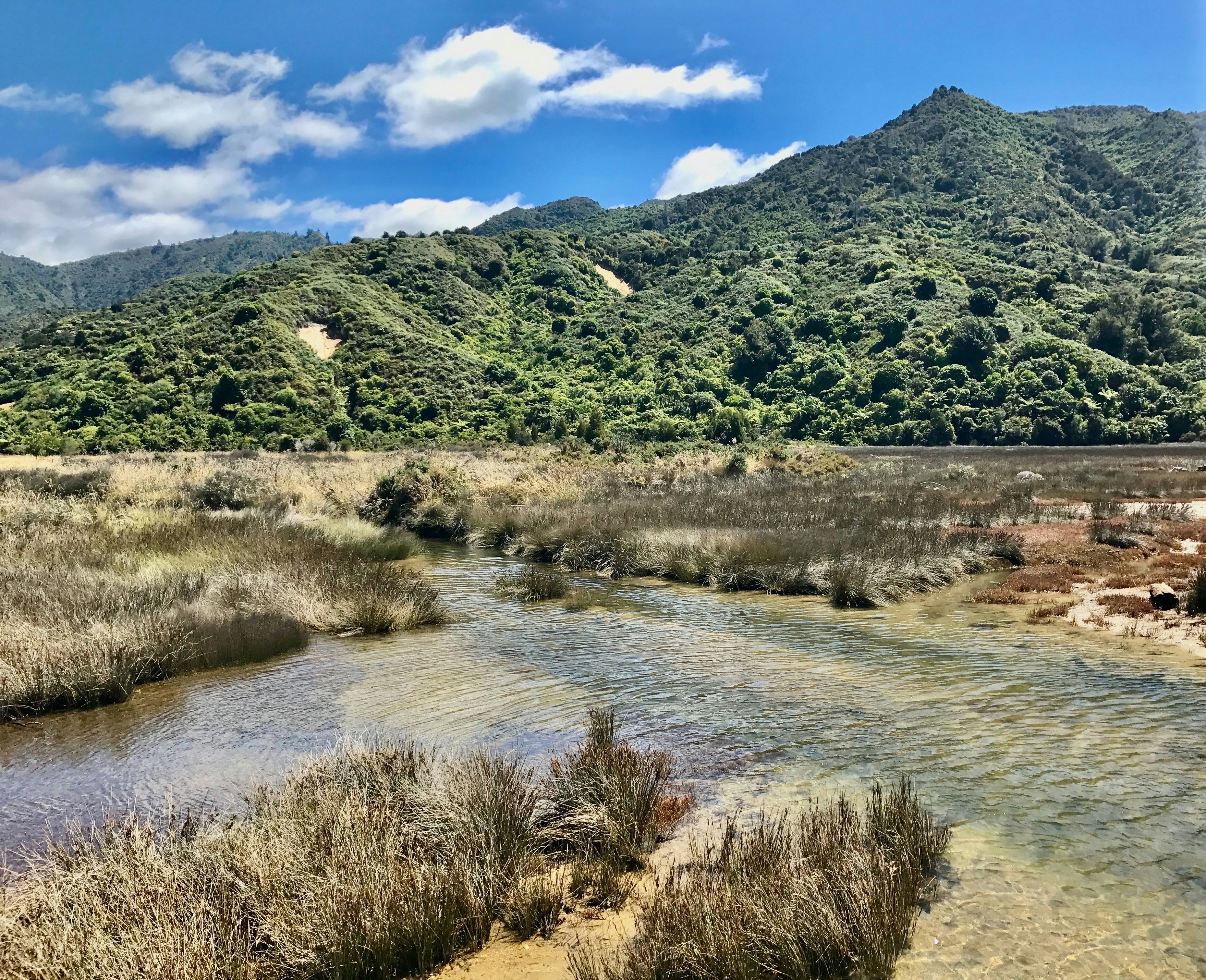 Photo by maximilian_brand