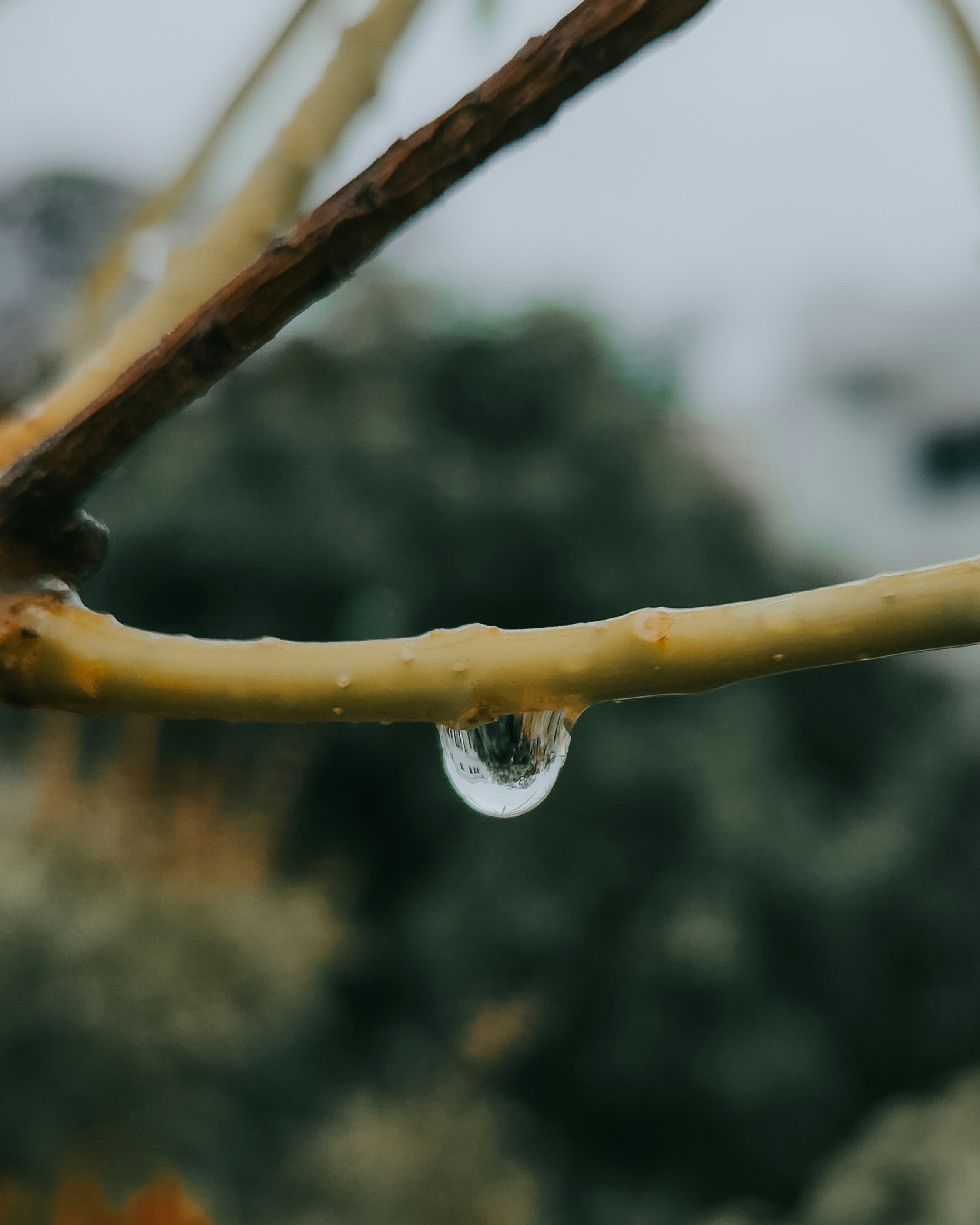 Photo by justcapturingit