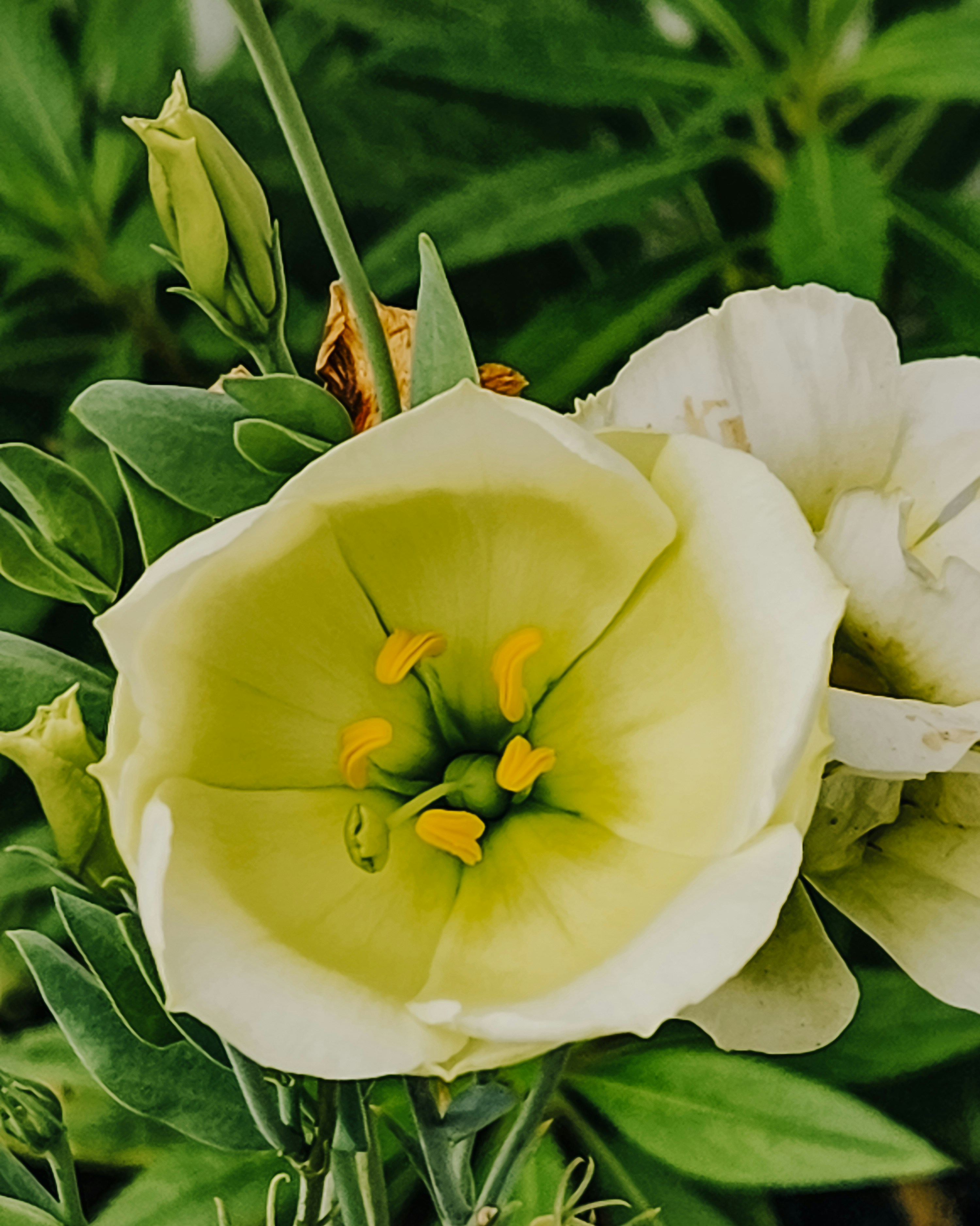 Photo by justcapturingit