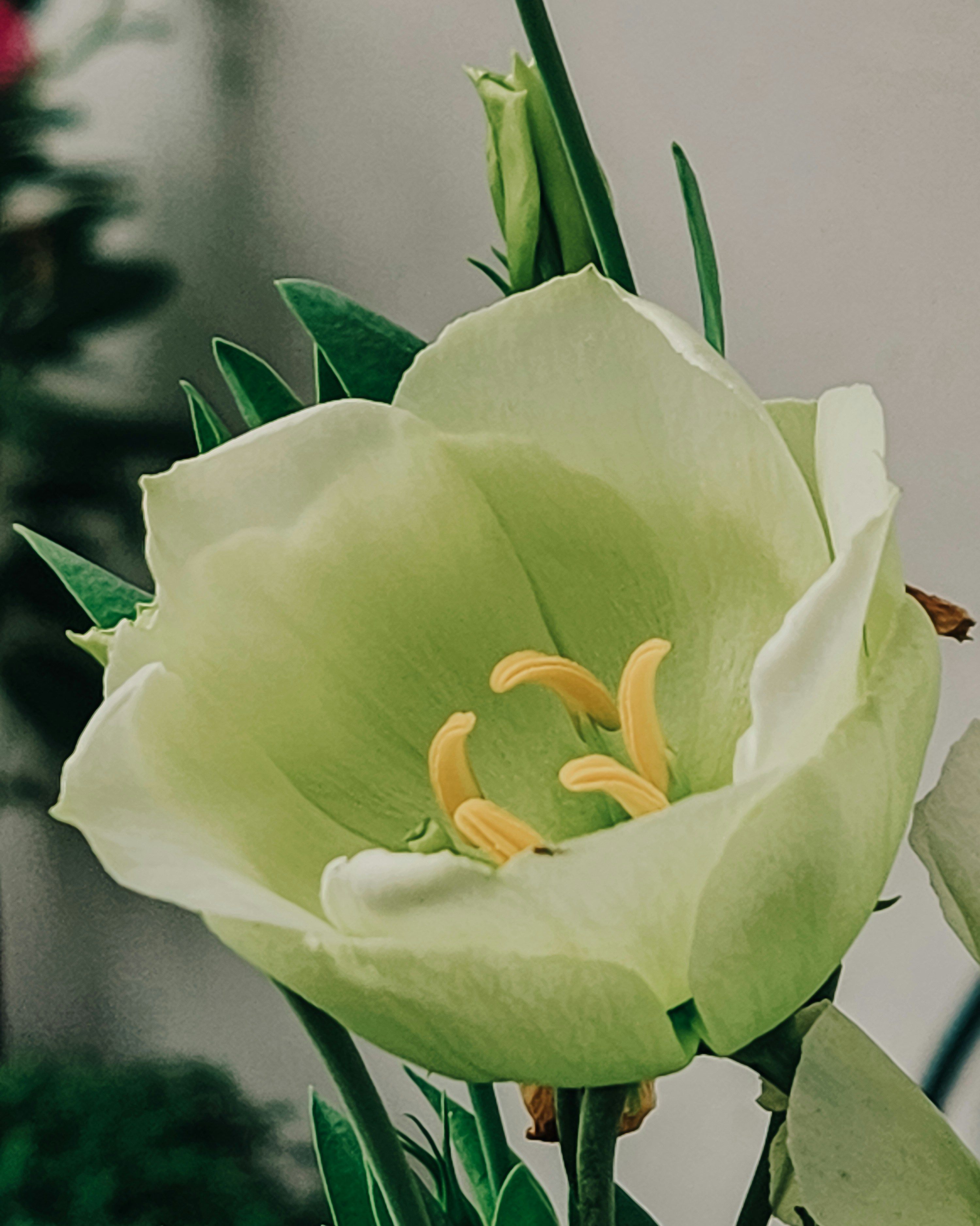 Photo by justcapturingit