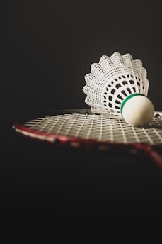 A tennis racket with a tennis ball on it