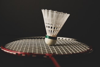 A badminton racket with a ball on it
