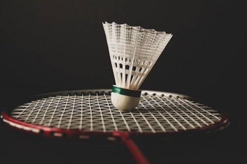 A badminton racket with a ball on it