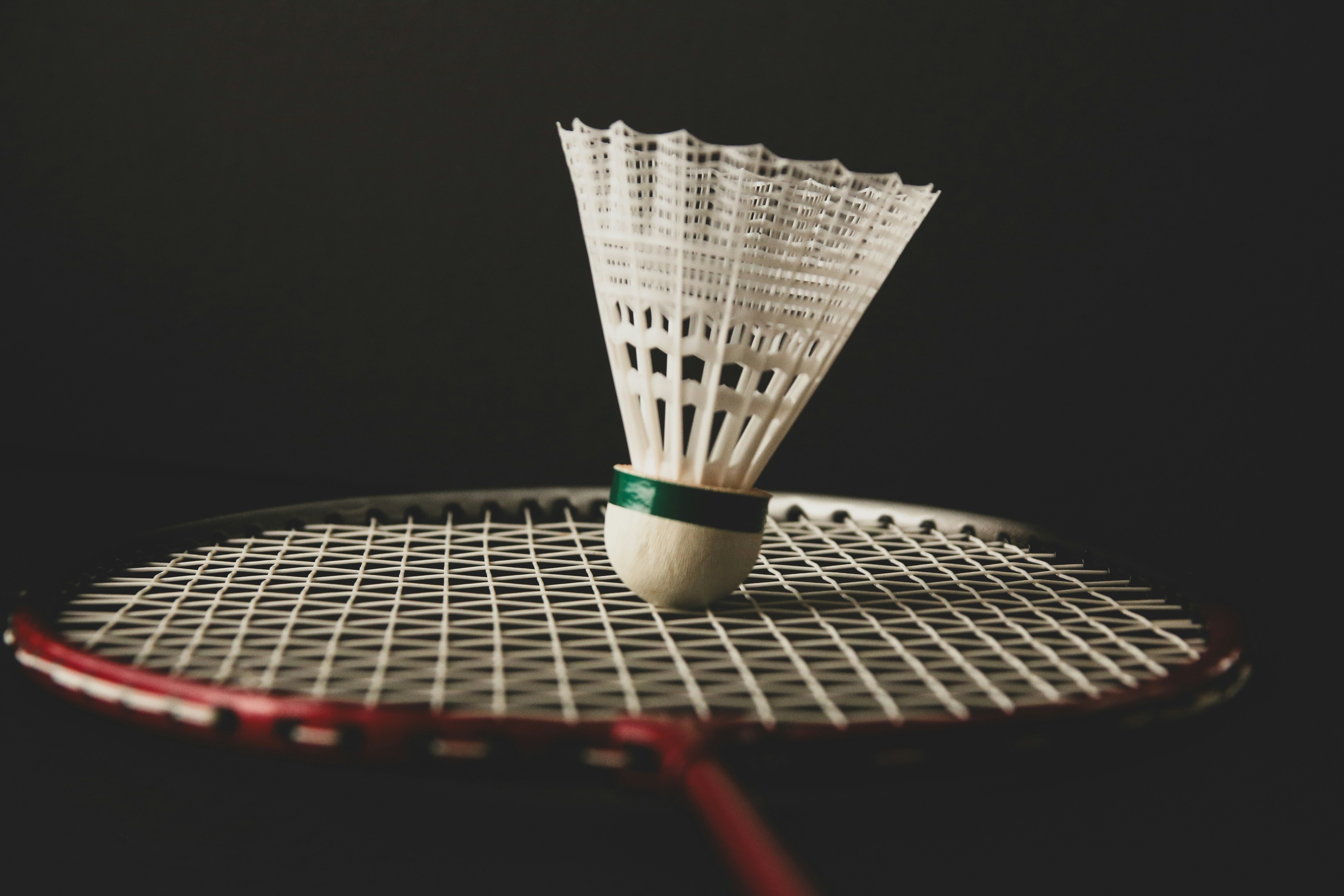 photo-1721760886713-1ab0c5045bf7?ixid=M3wxMjA3fDB8MXxzZWFyY2h8MTV8fGp1YWwlMjByYWtldCUyMGJhZG1pbnRvbiUyMGJlcmt1YWxpdGFzfGVufDB8fHx8MTc0MjM1MTkzNXww\u0026ixlib=rb-4.0.3