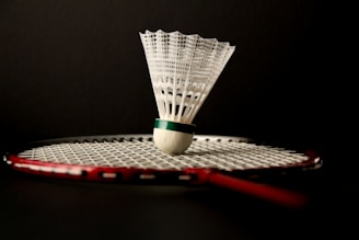 A badminton racket and a ball on a table