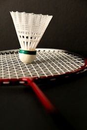 A badminton racket with a ball on top of it