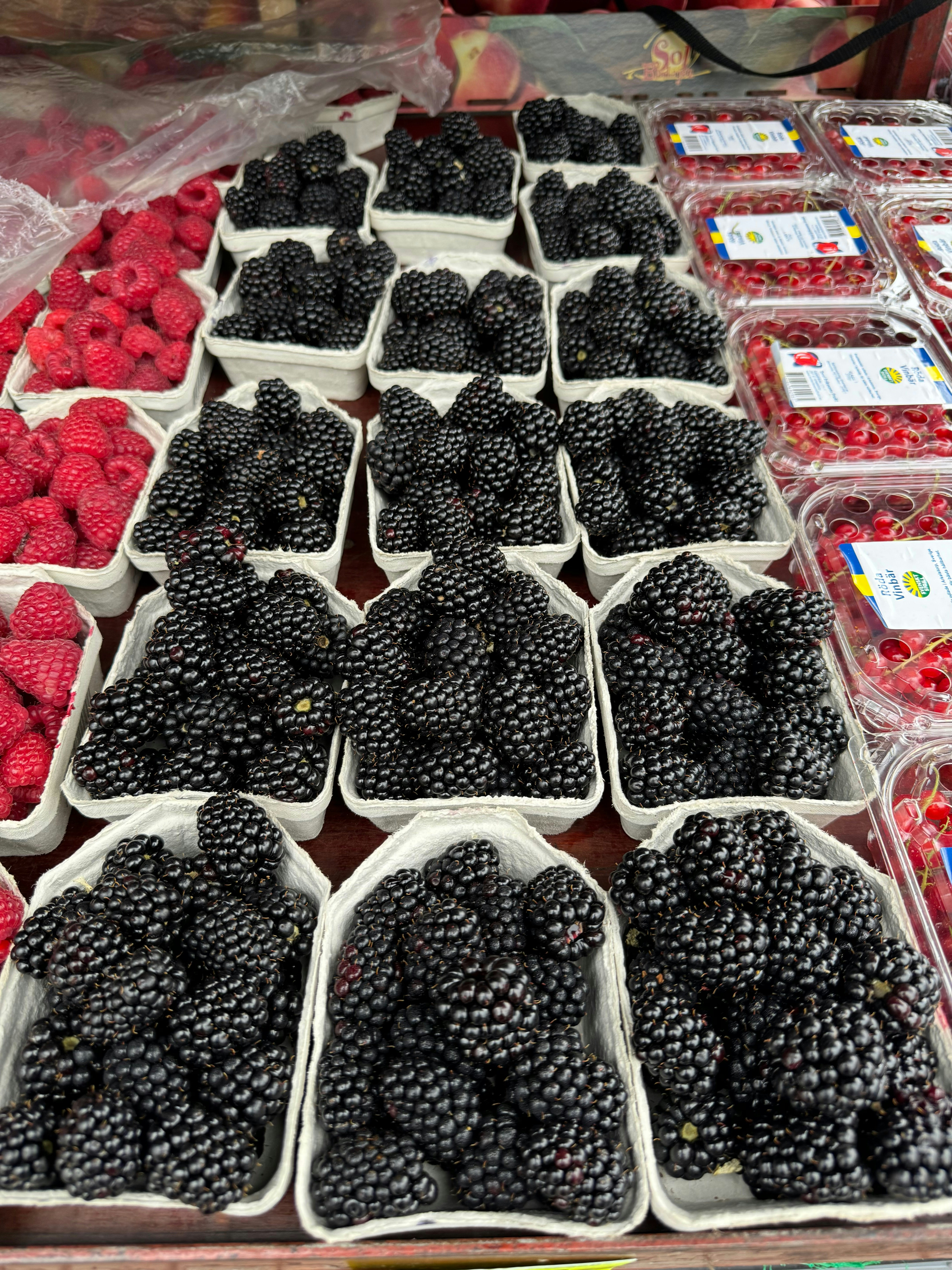 Goji: Fuente de Energía y Longevidad | Blog EonLifex