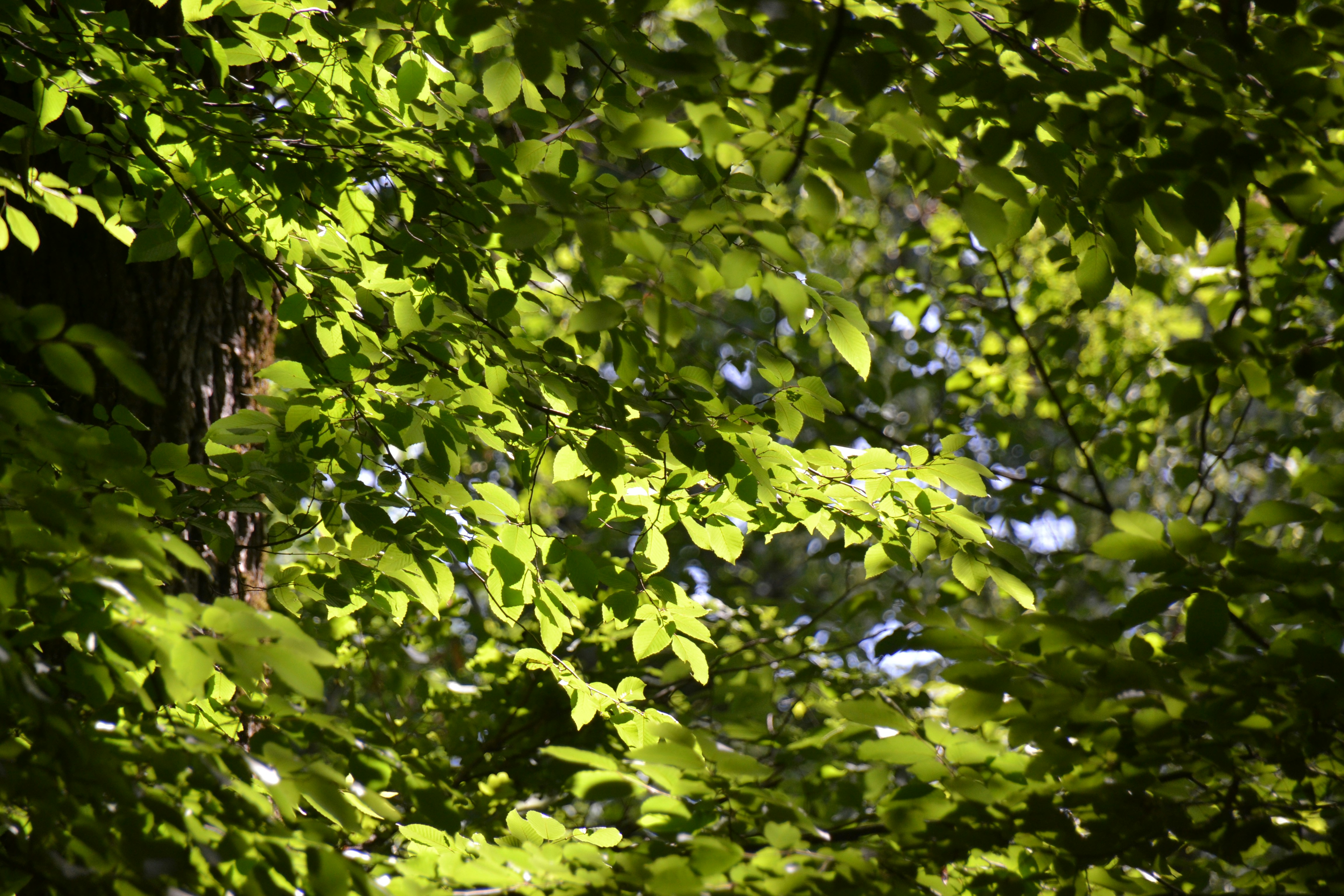 Photo by andrei_photography