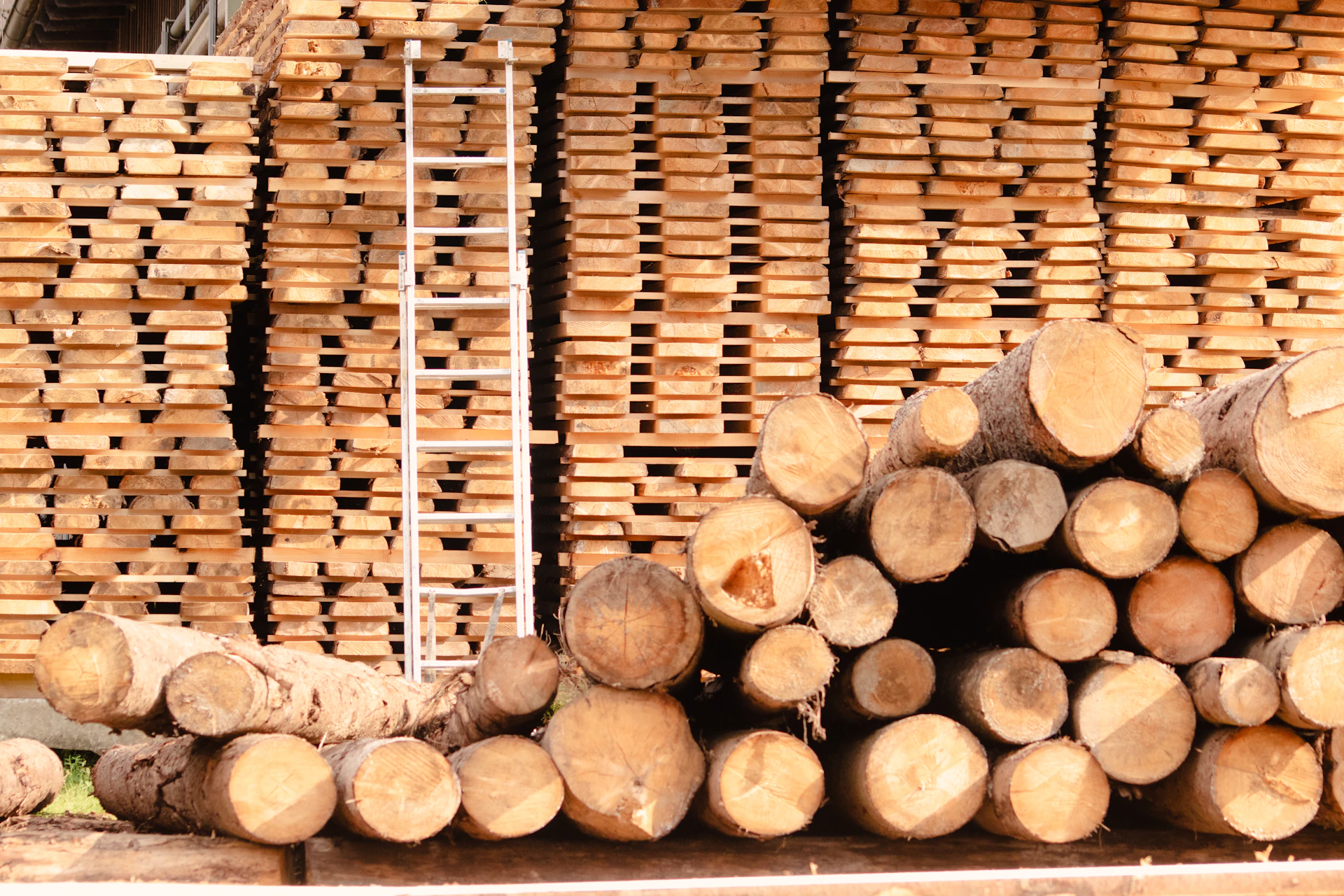 A pile of logs stacked on top of each other