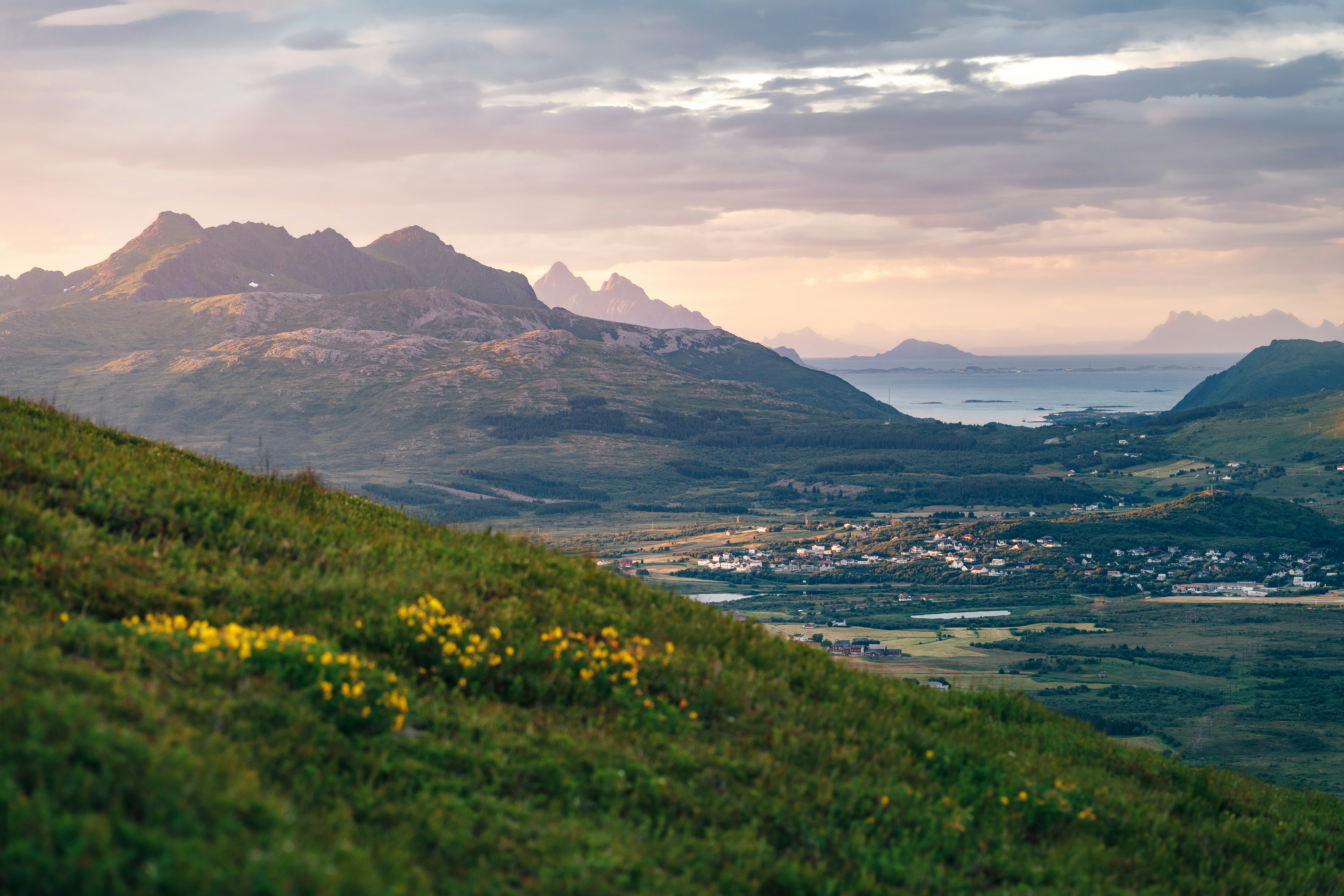 Photo by danielsessler