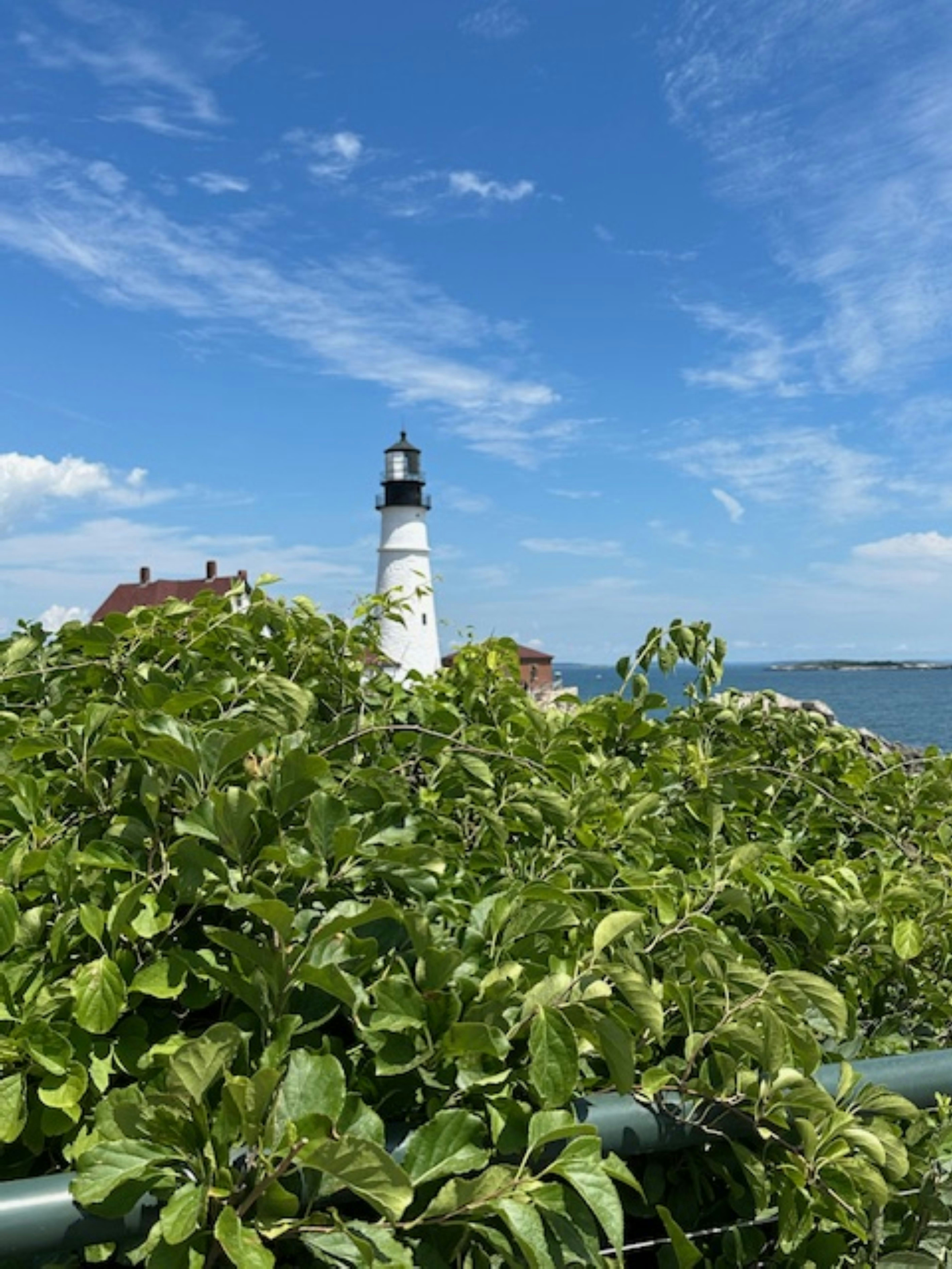 A view of a light house through a fence