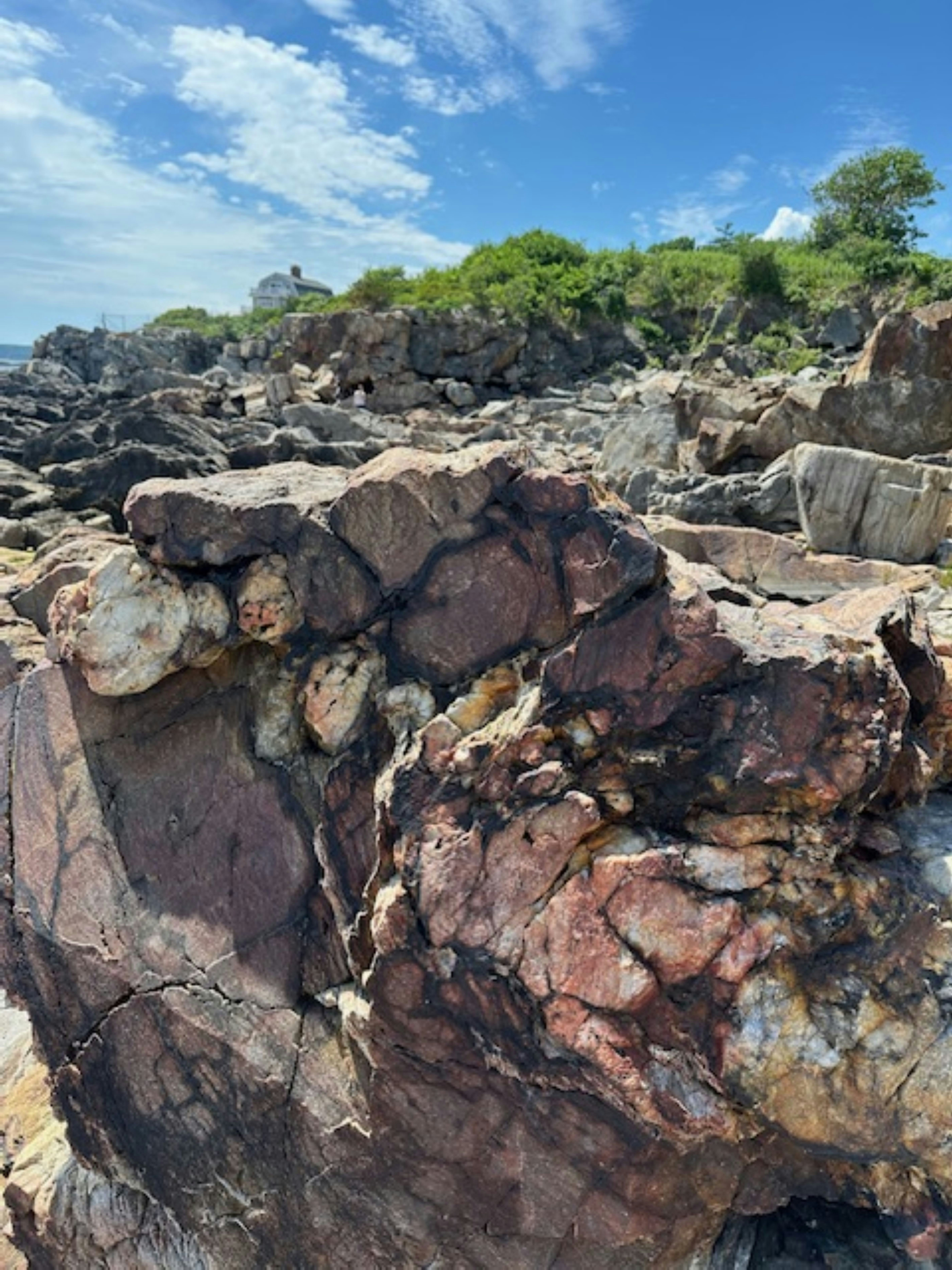 A rocky beach with rocks and trees in the background