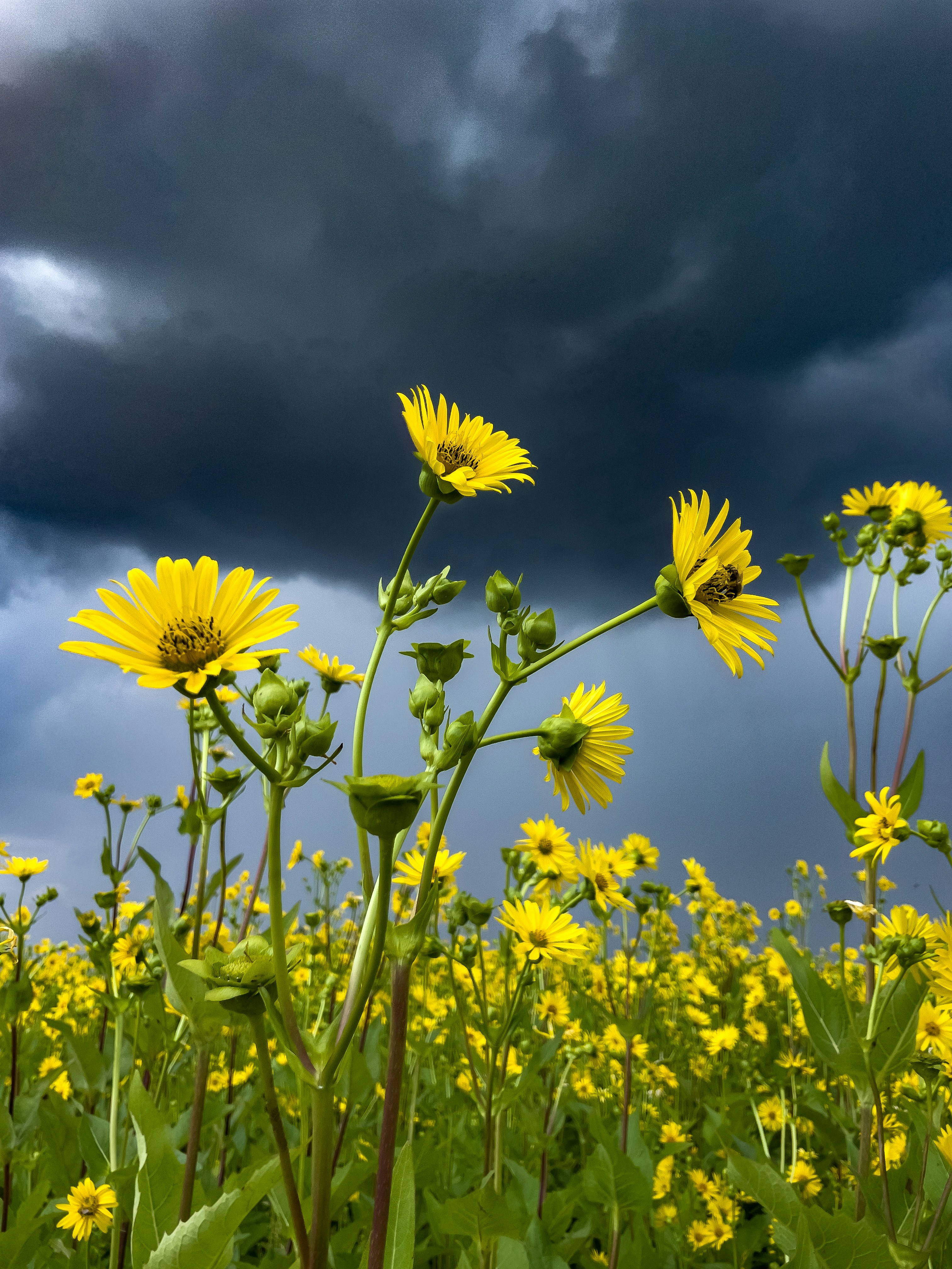 Photo by hdbernd