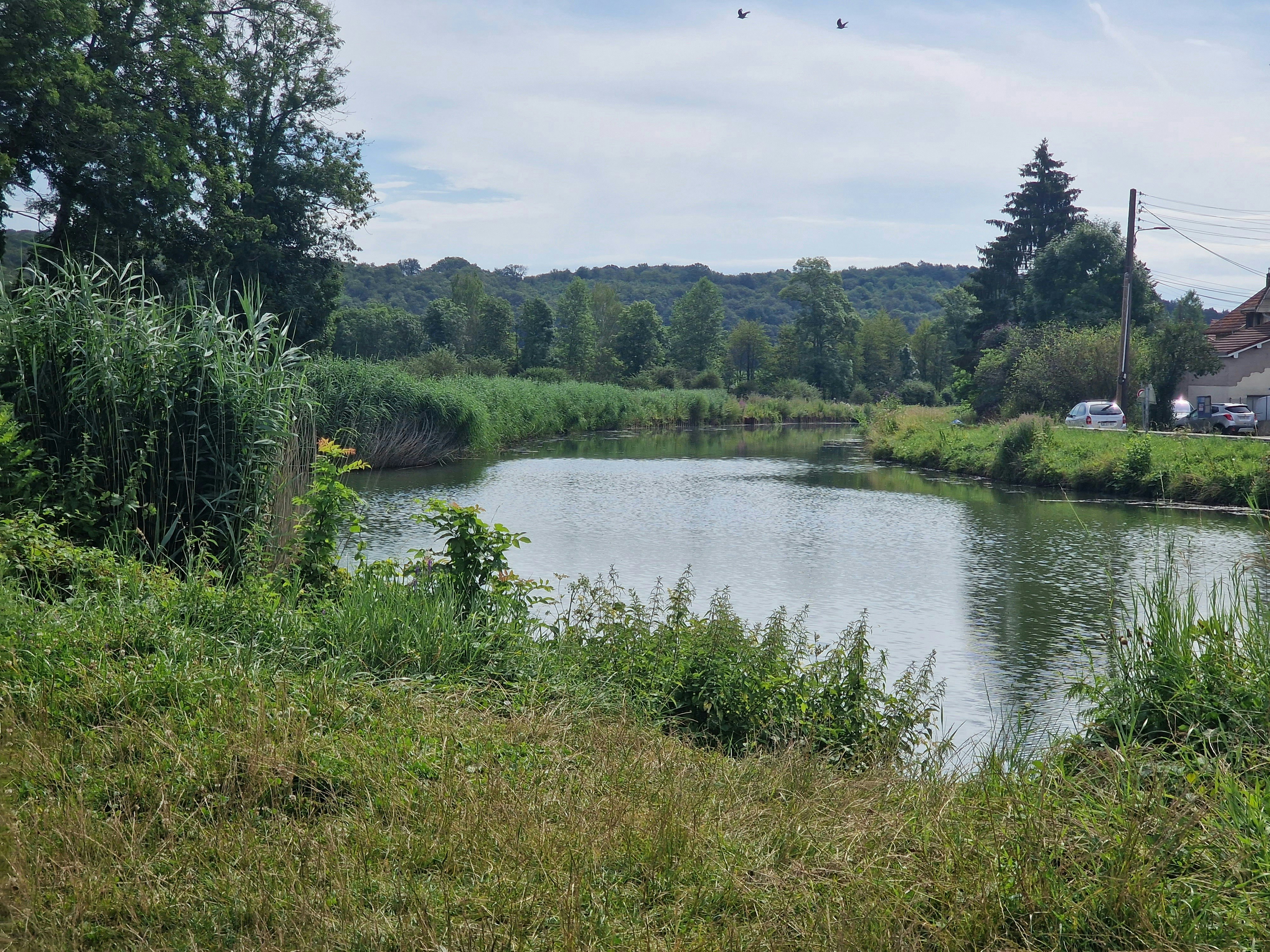 Photo by danielelarosa