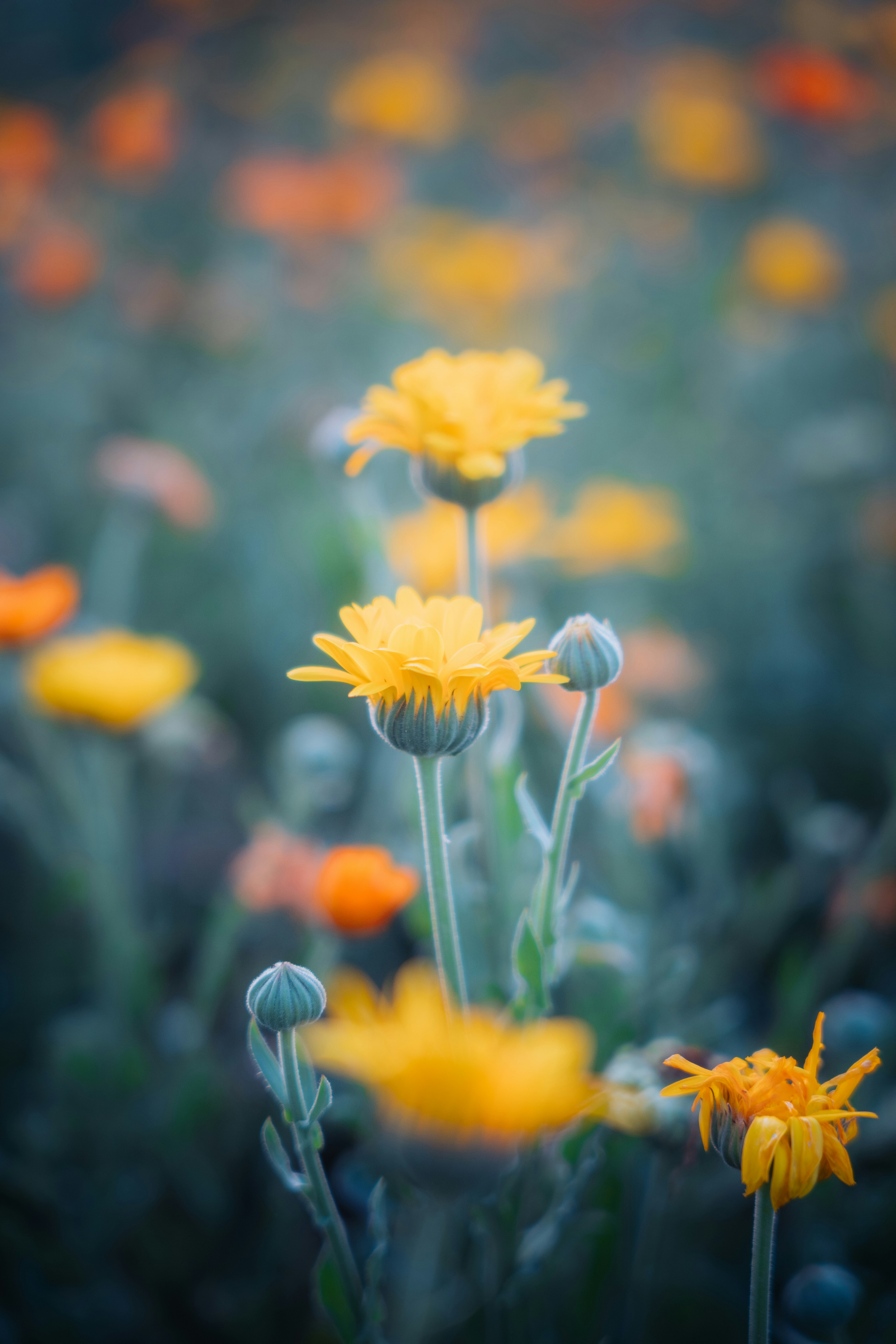 Photo by dermanuskript