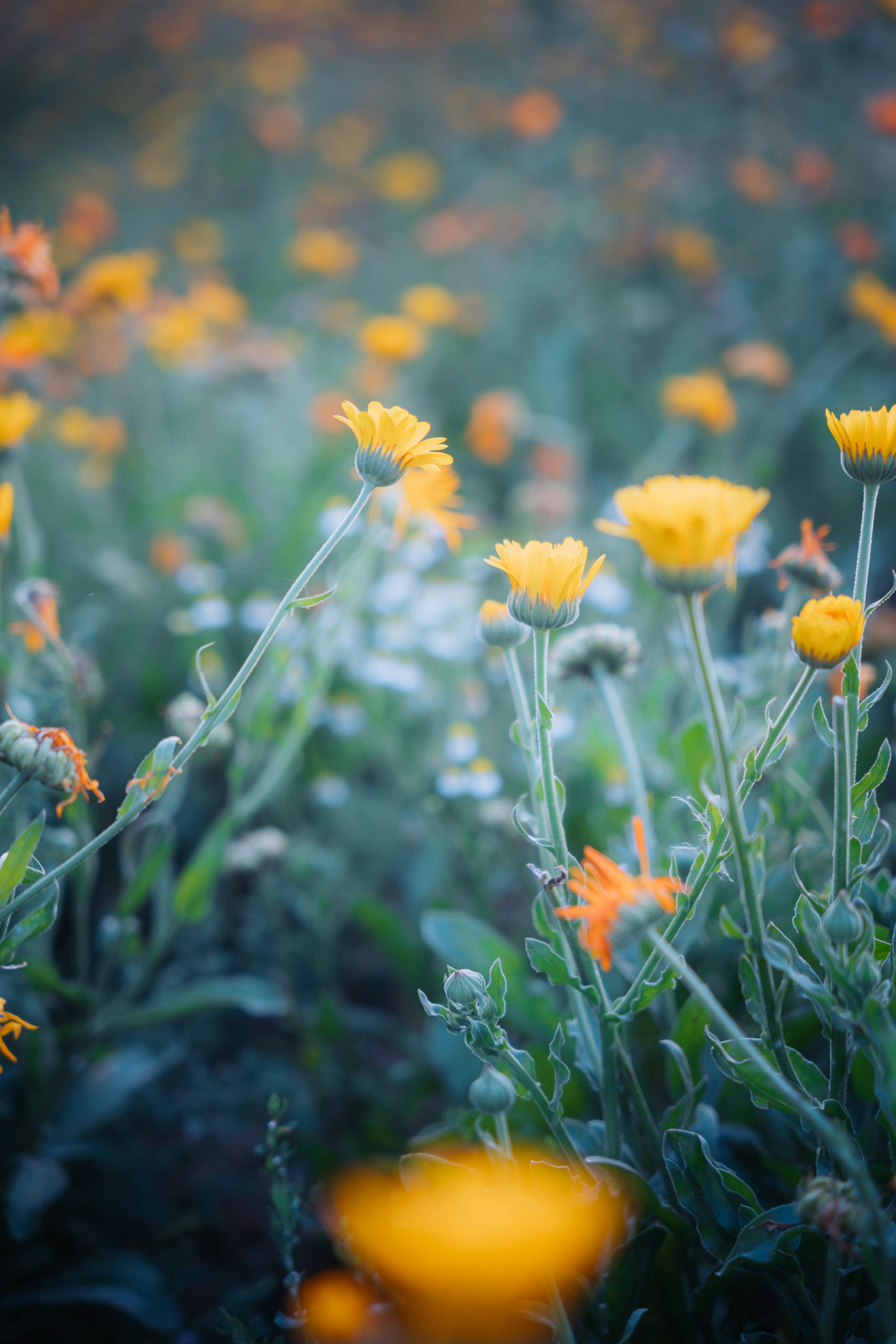 Photo by dermanuskript