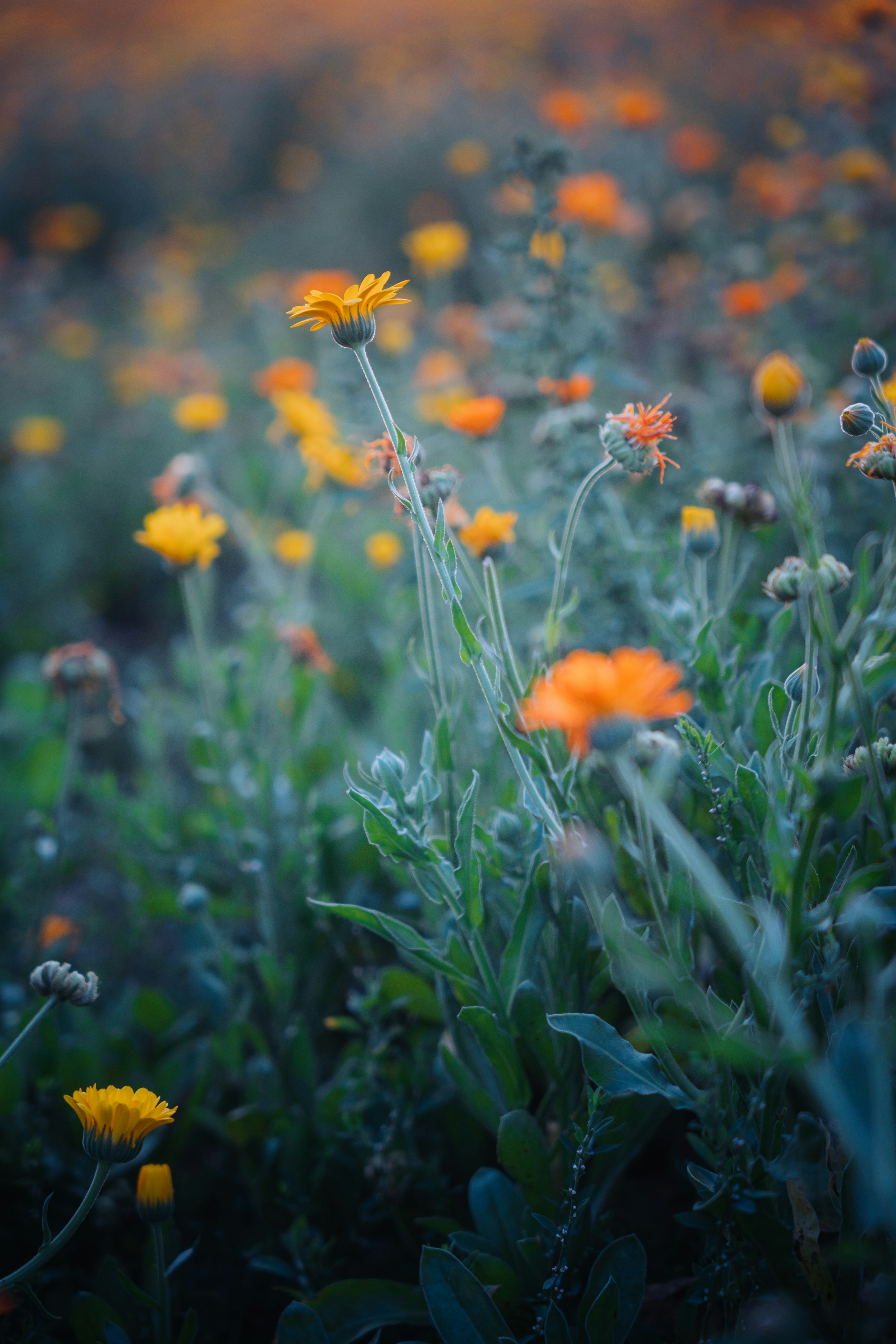 Photo by dermanuskript