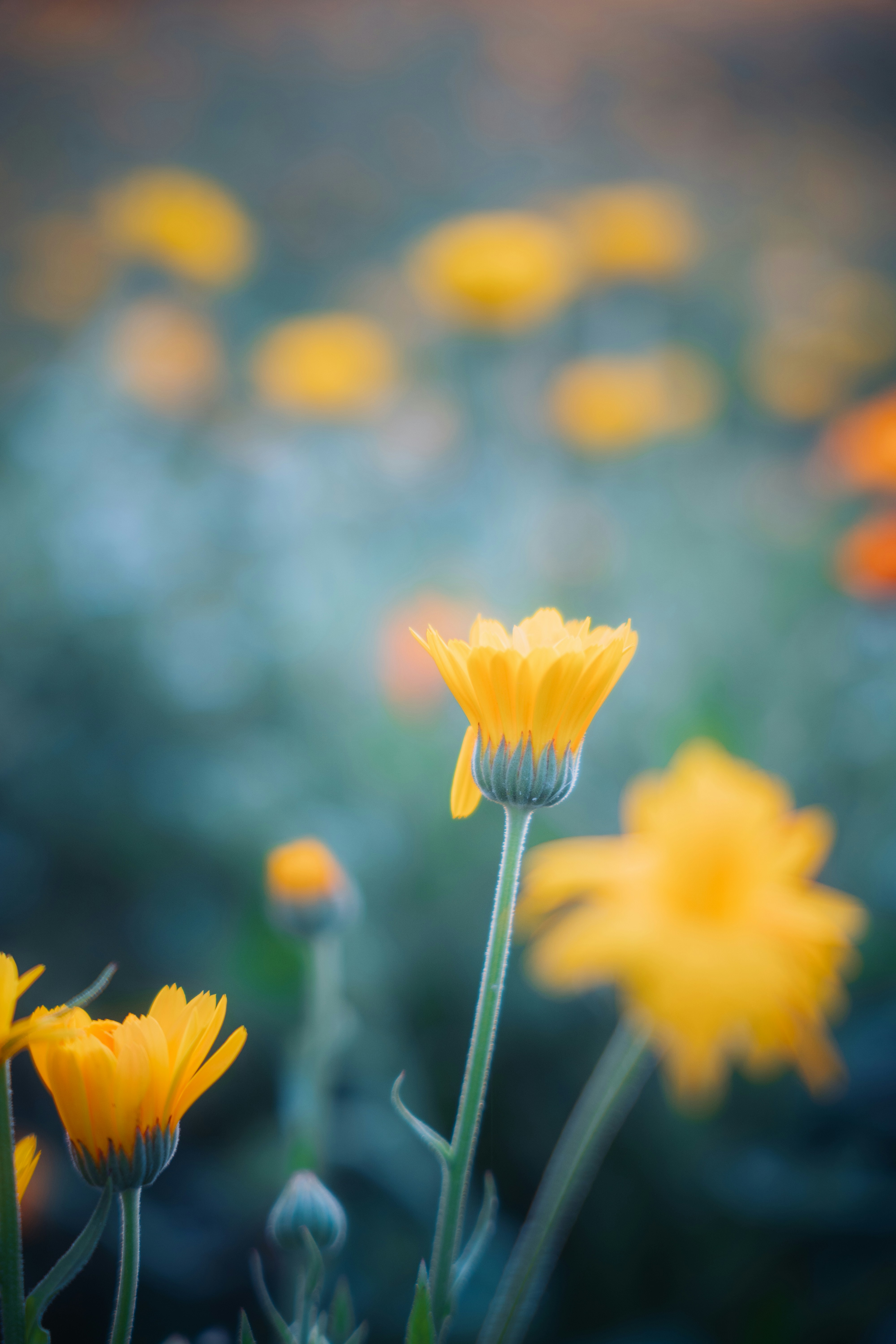 Photo by dermanuskript