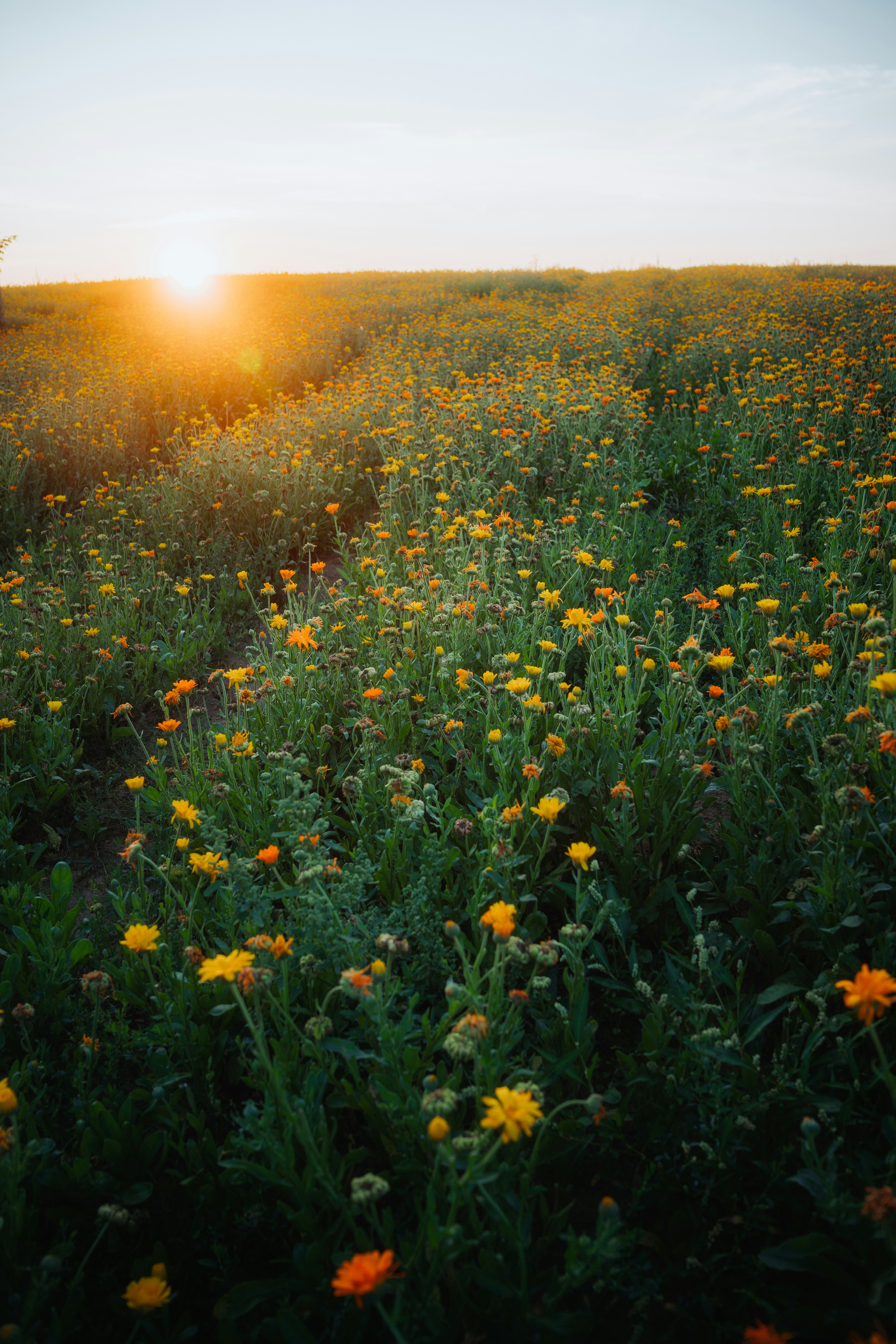 Photo by dermanuskript