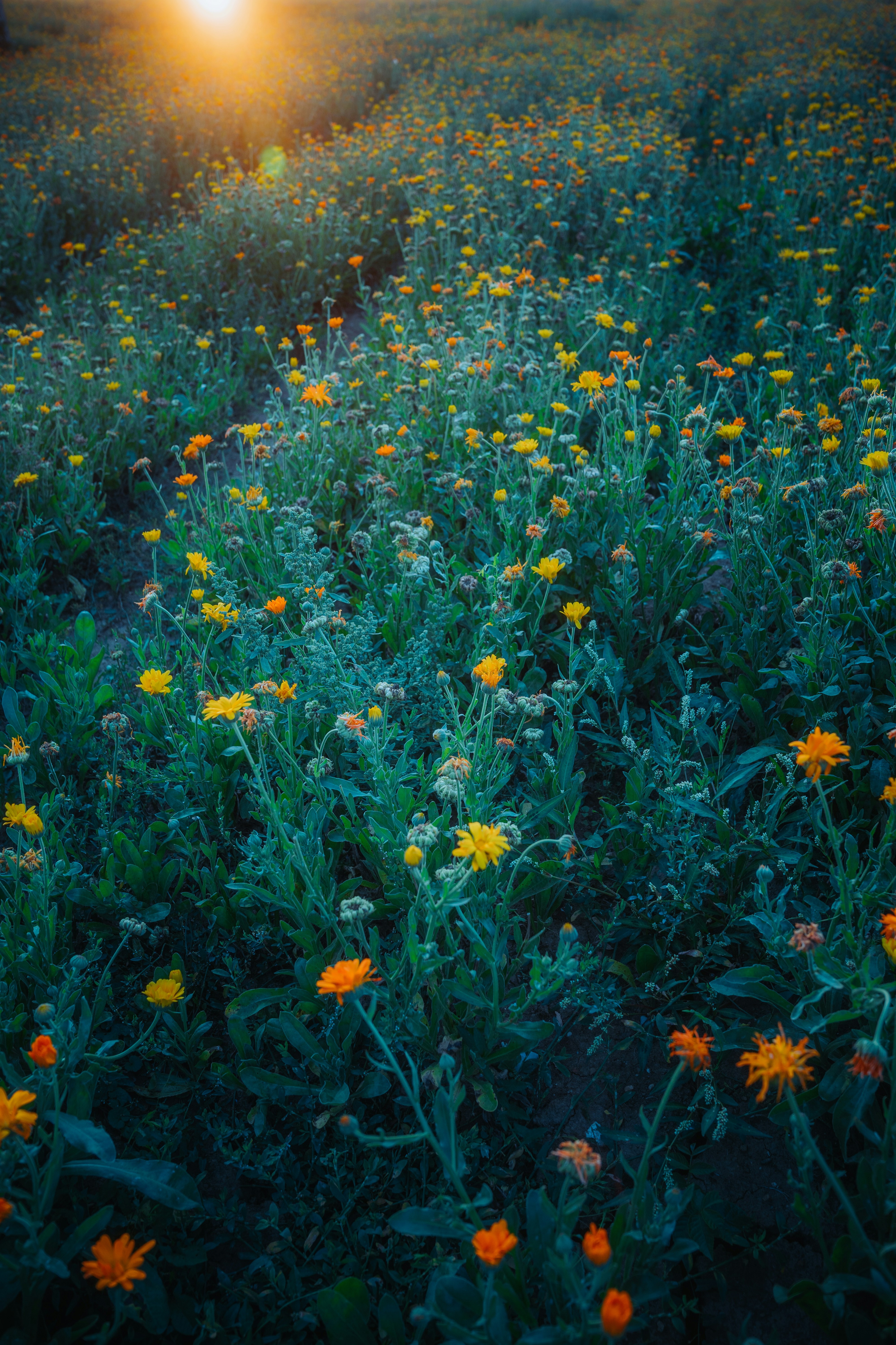 Photo by dermanuskript