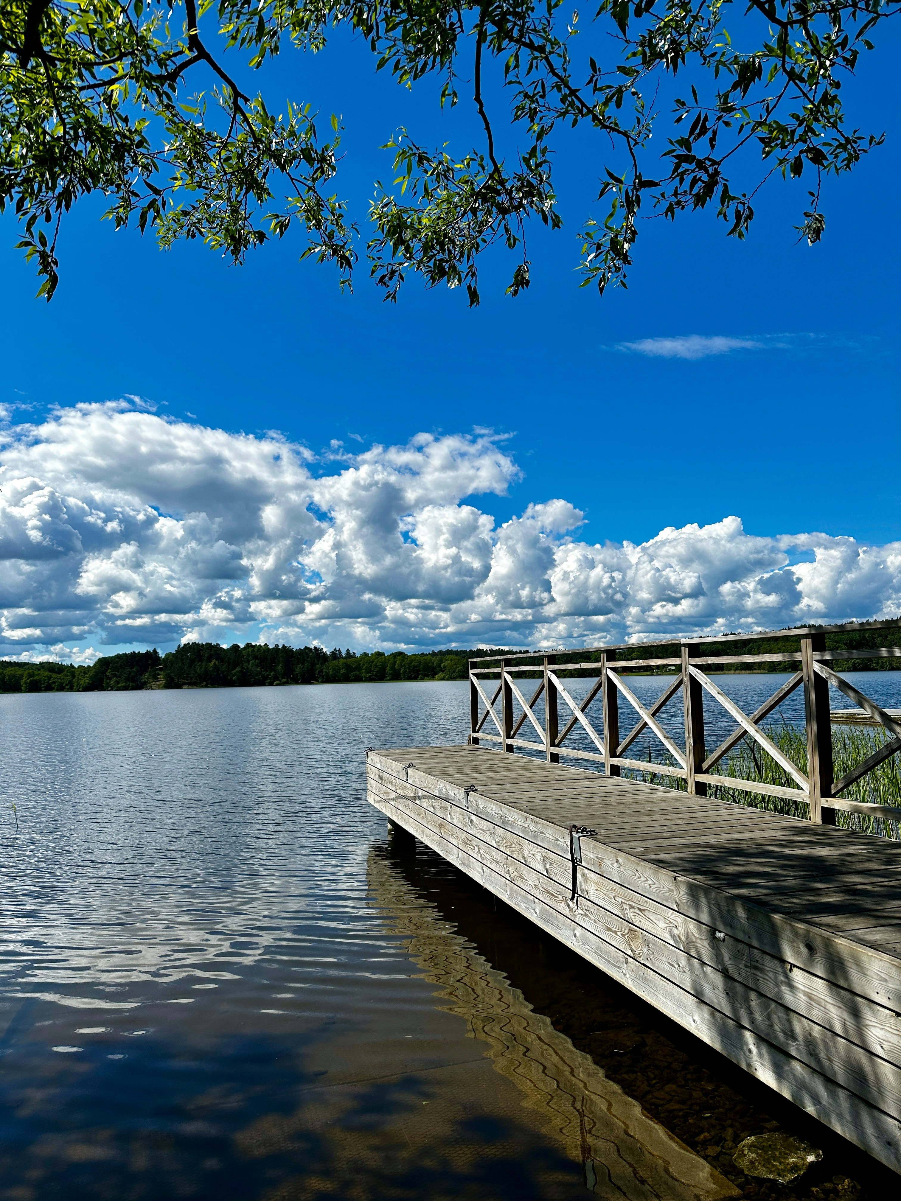 Photo by nia_dergaliuk