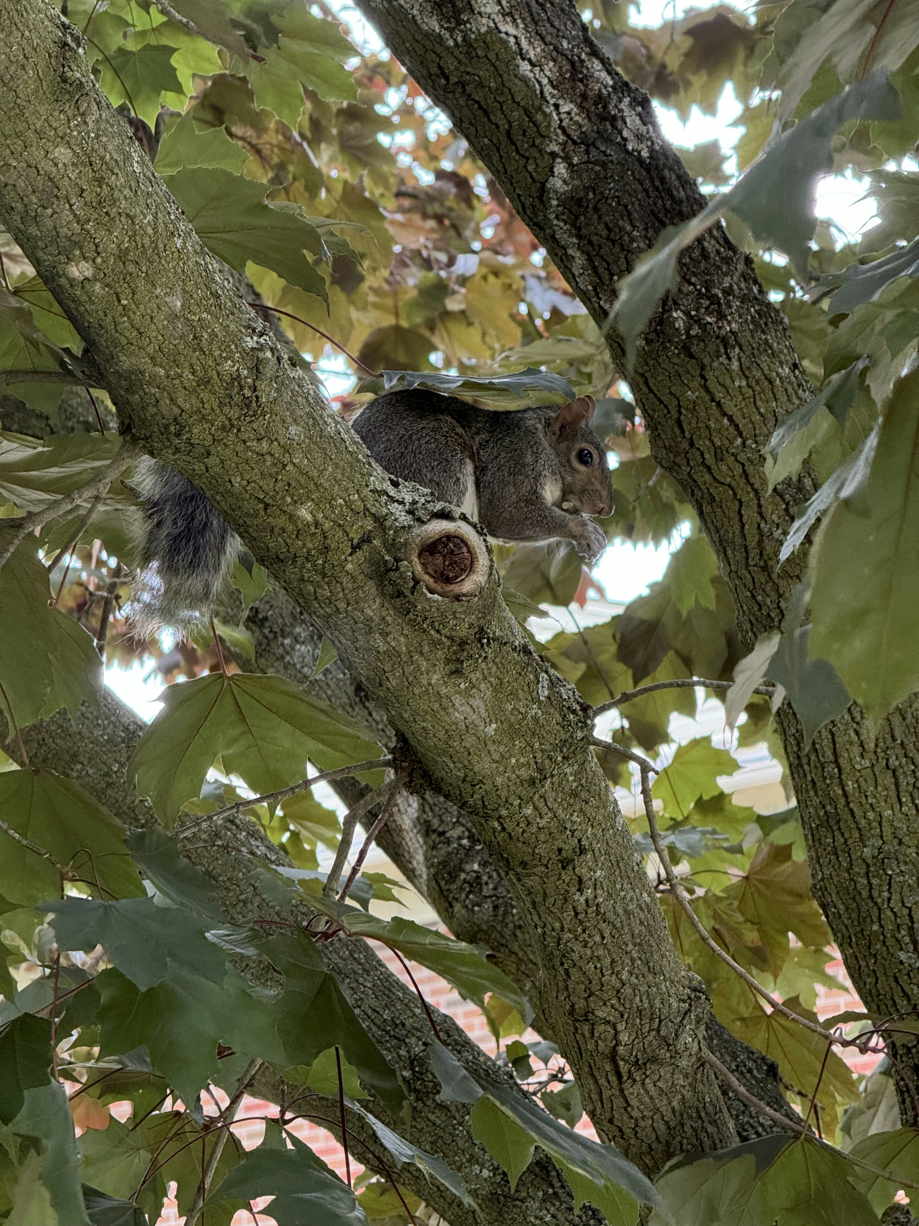 Photo by artempatramanskyi