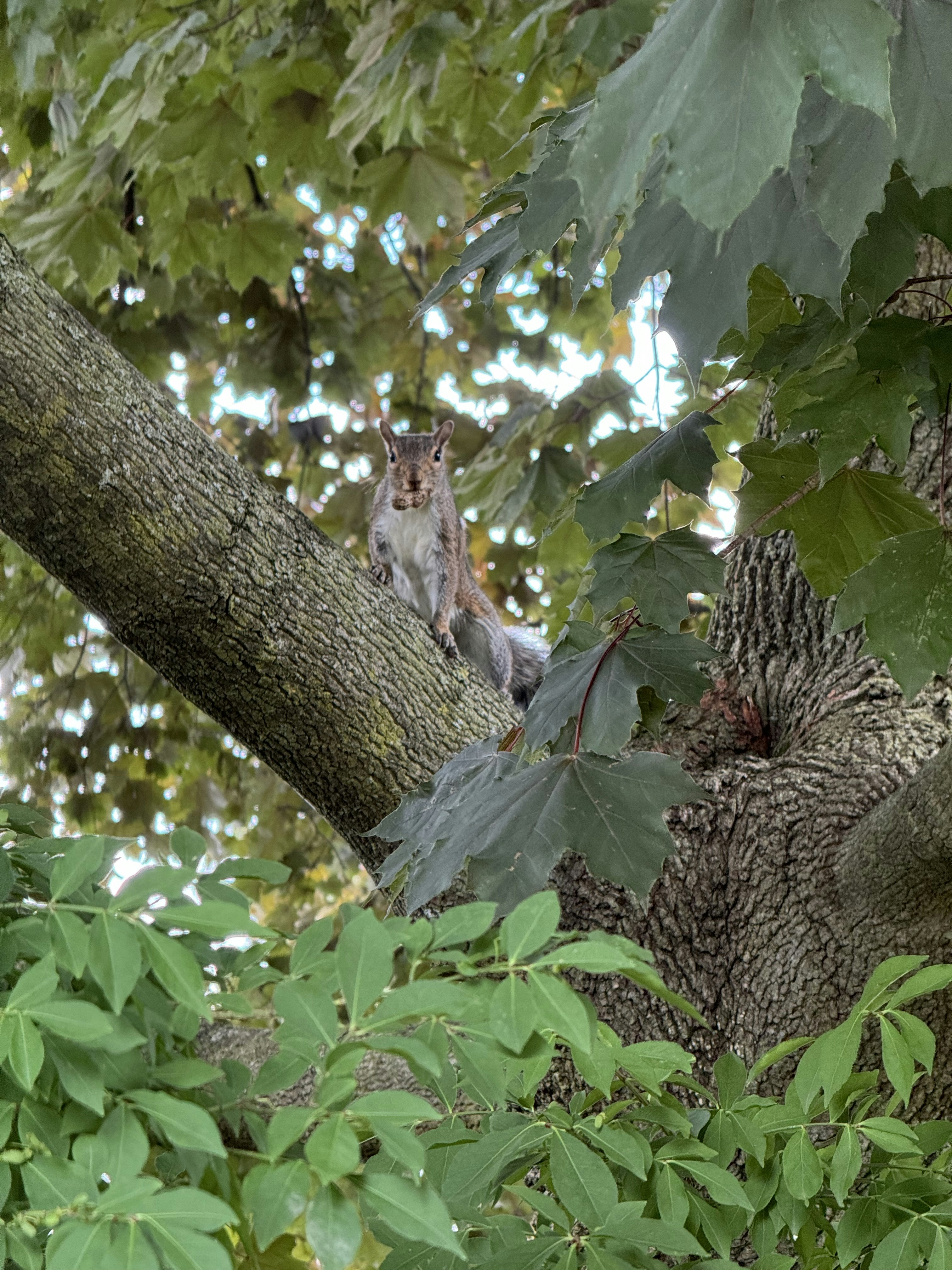 Photo by artempatramanskyi