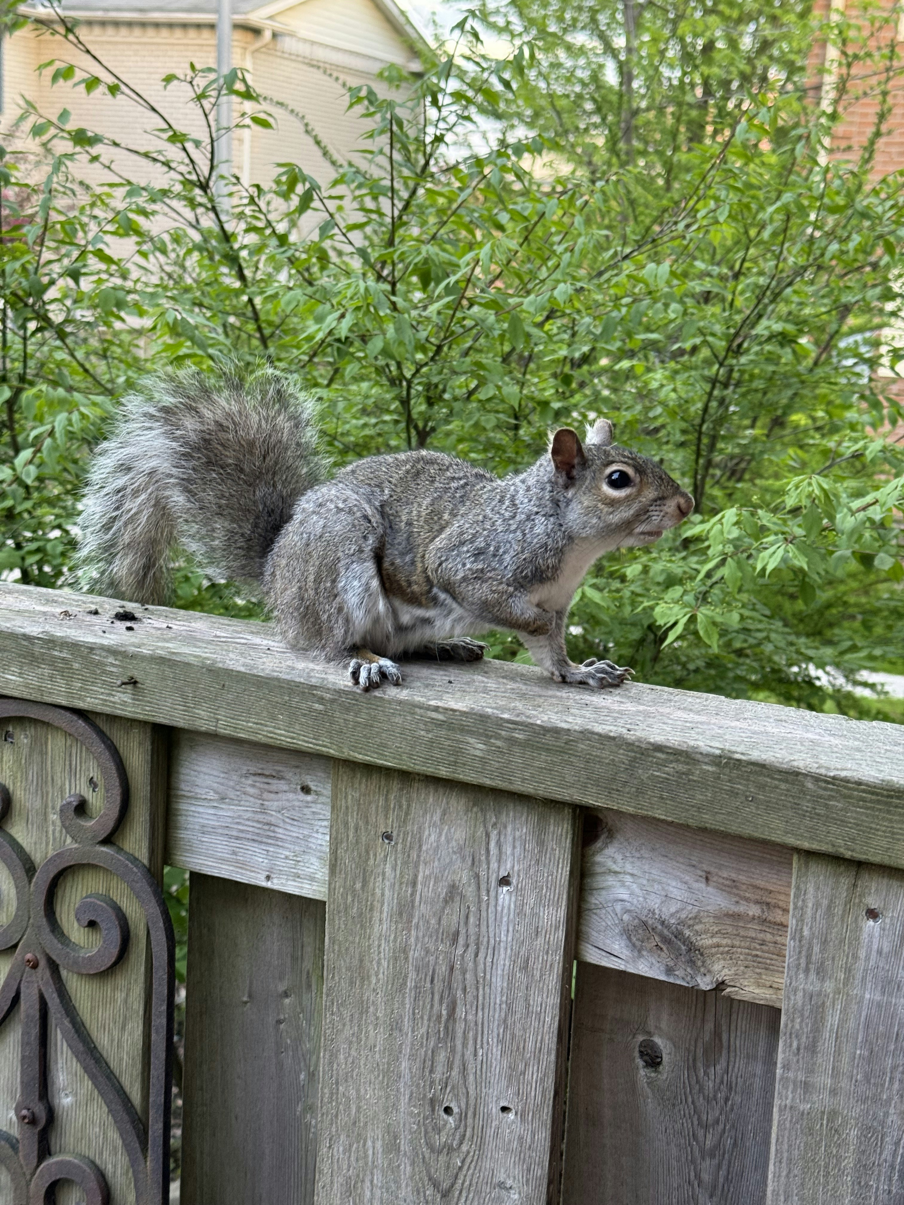 Photo by artempatramanskyi