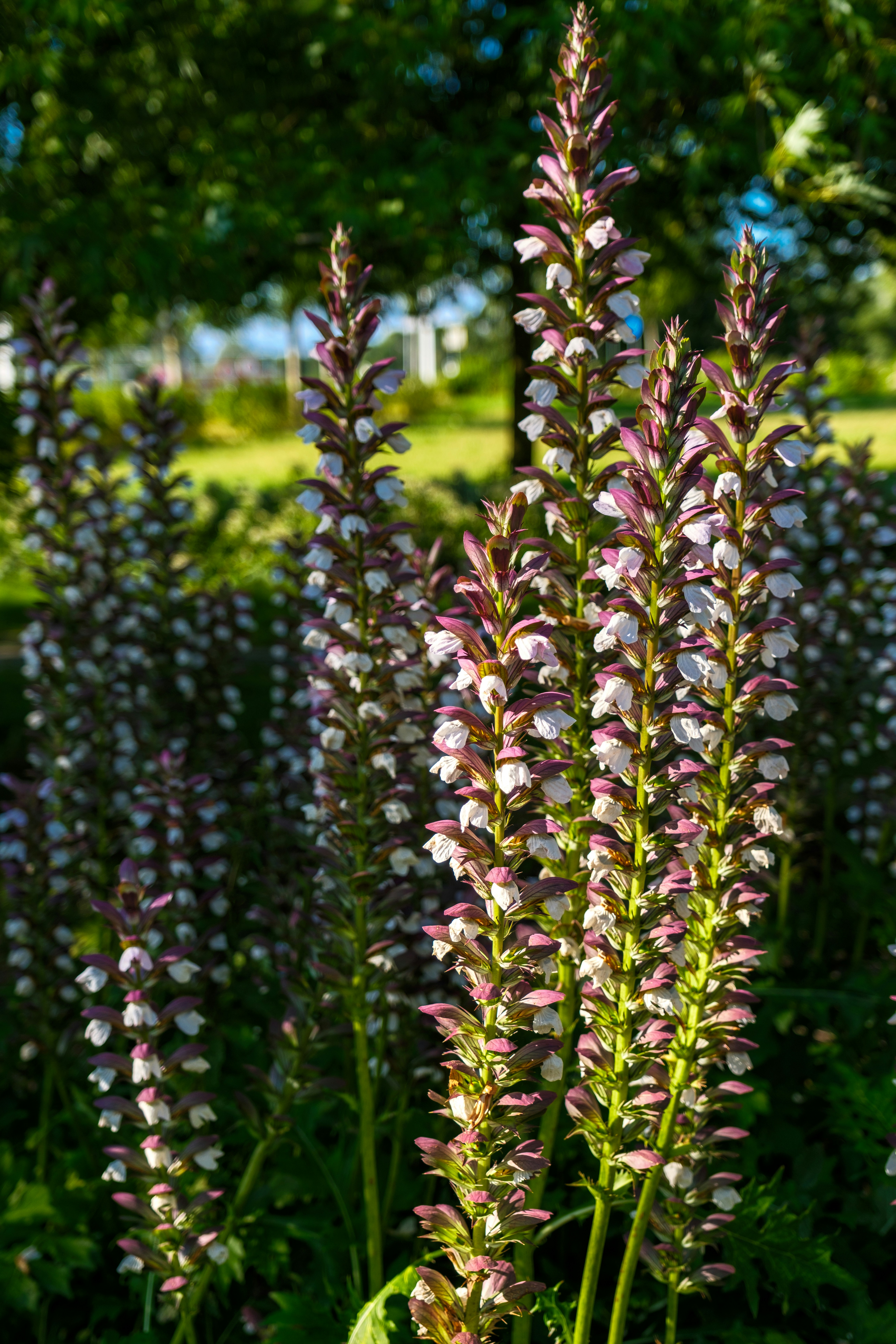 Photo by haberdoedas2