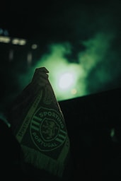 A person holding a flag in their hand