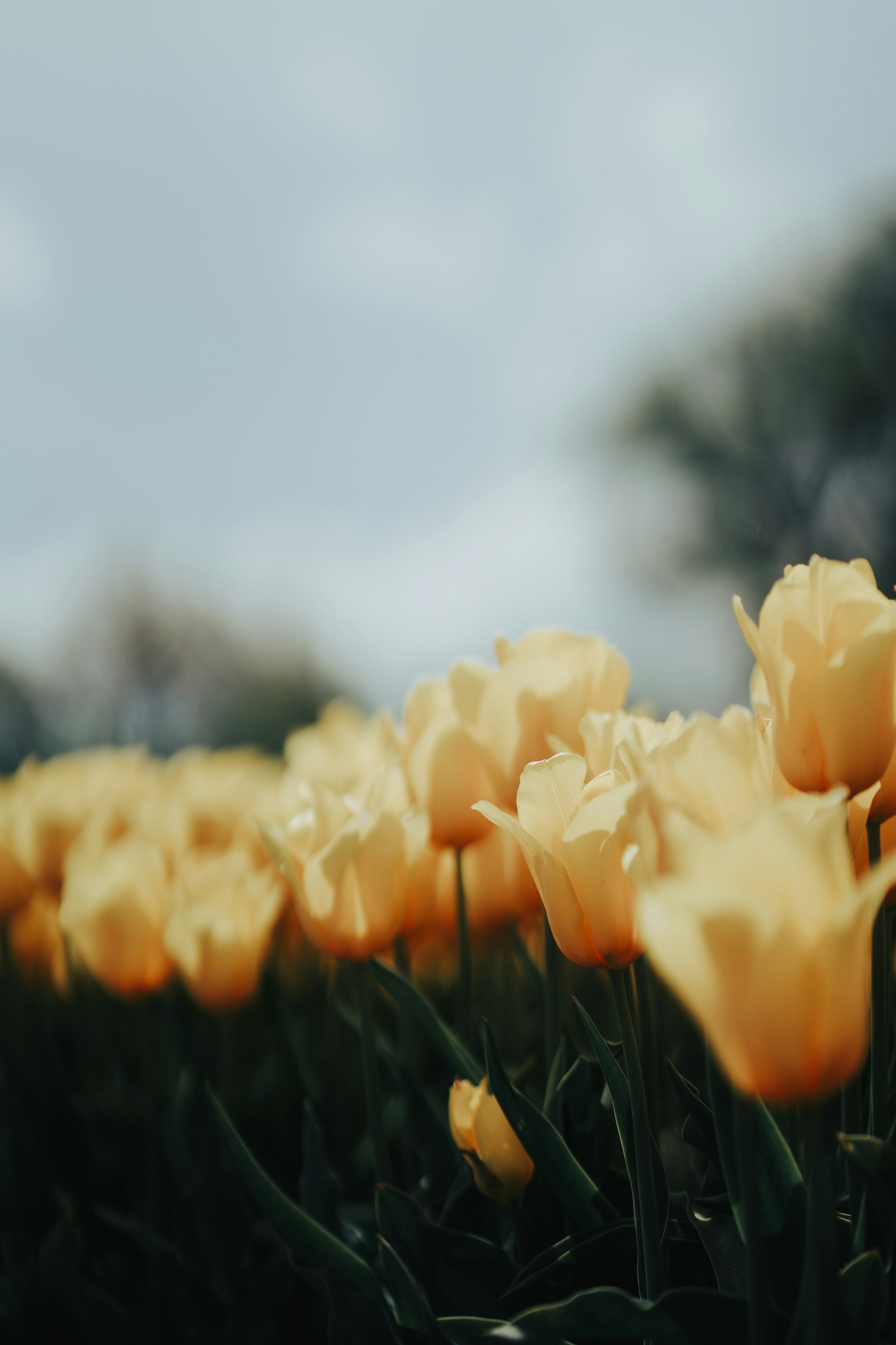 Photo by aravind_balabhaskar